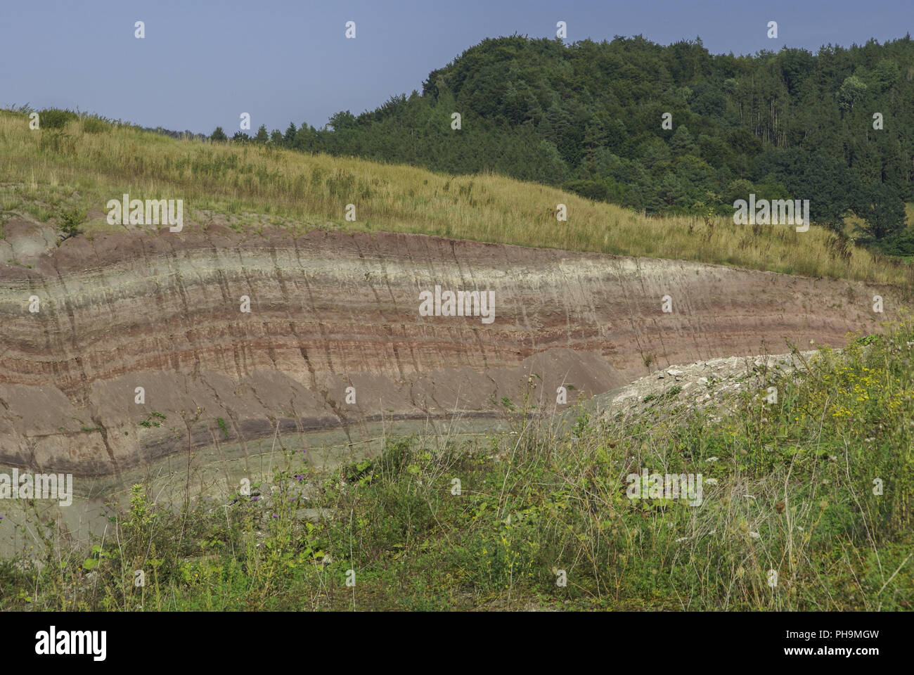 Upper shell hires stock photography and images Alamy