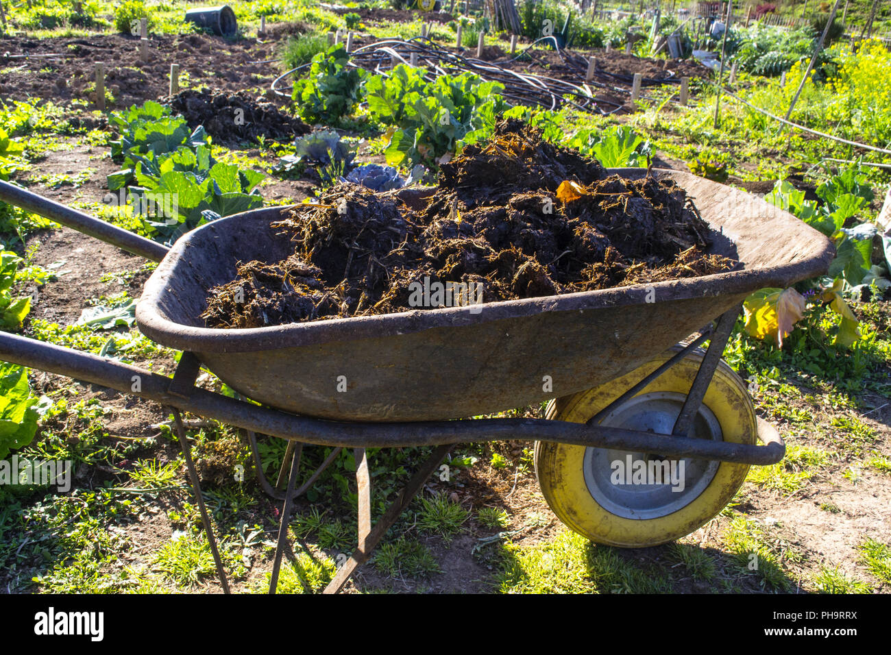 Barrow wheelbarrow spade garden hires stock photography and images Alamy