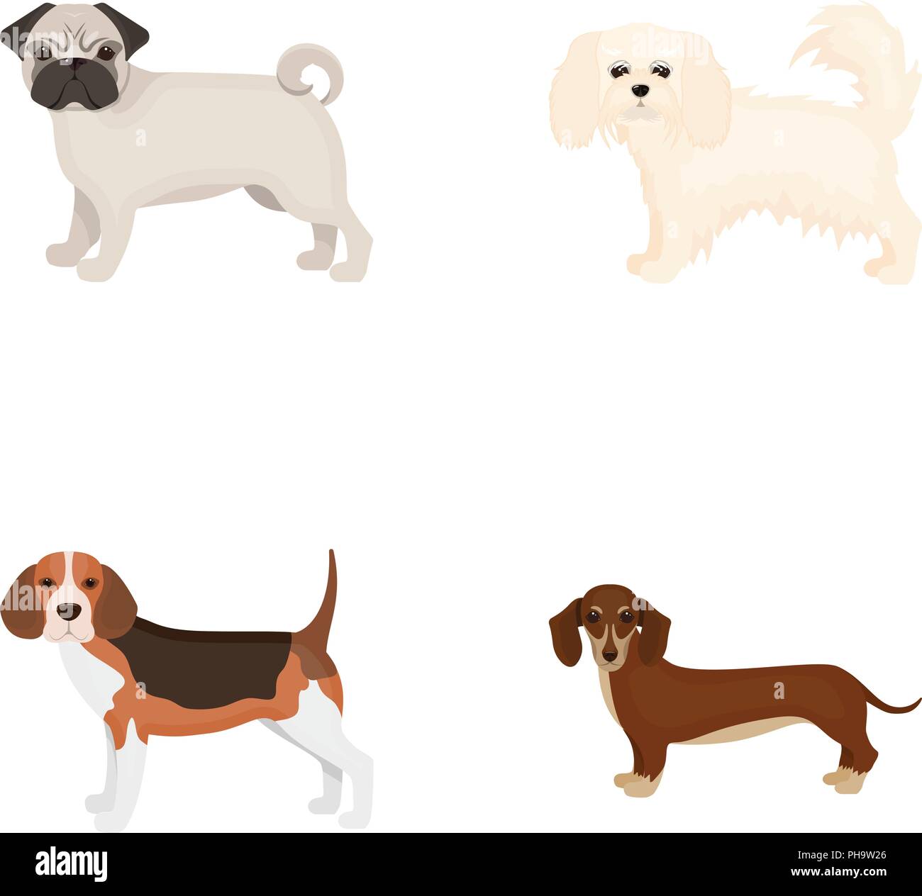 Dog breeds cartoon icons in set collection for design.Dog pet vector ...