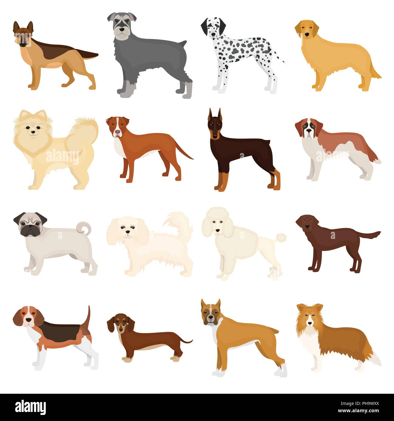 Dog breeds cartoon icons in set collection for design.Dog pet vector symbol stock  illustration. Stock Vector
