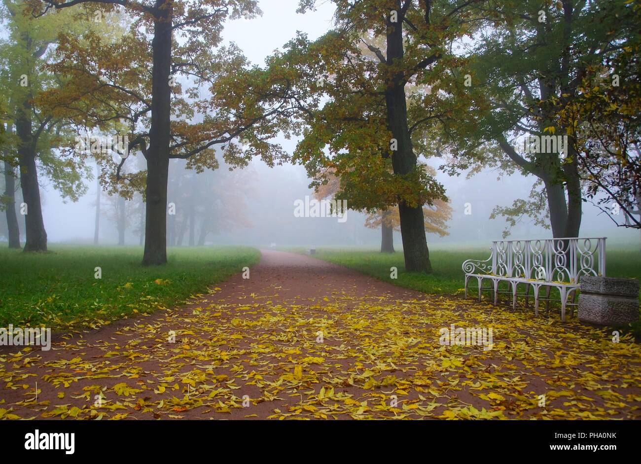 Misty autumn morning in Tsarskoe Selo Stock Photo