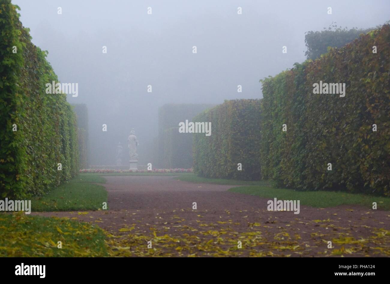 Misty autumn morning in Tsarskoe Selo Stock Photo