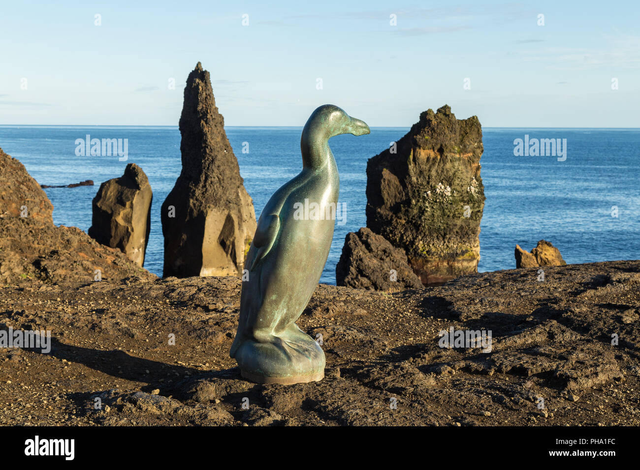 Pinguinus impennis at the southern part of Iceland Stock Photo