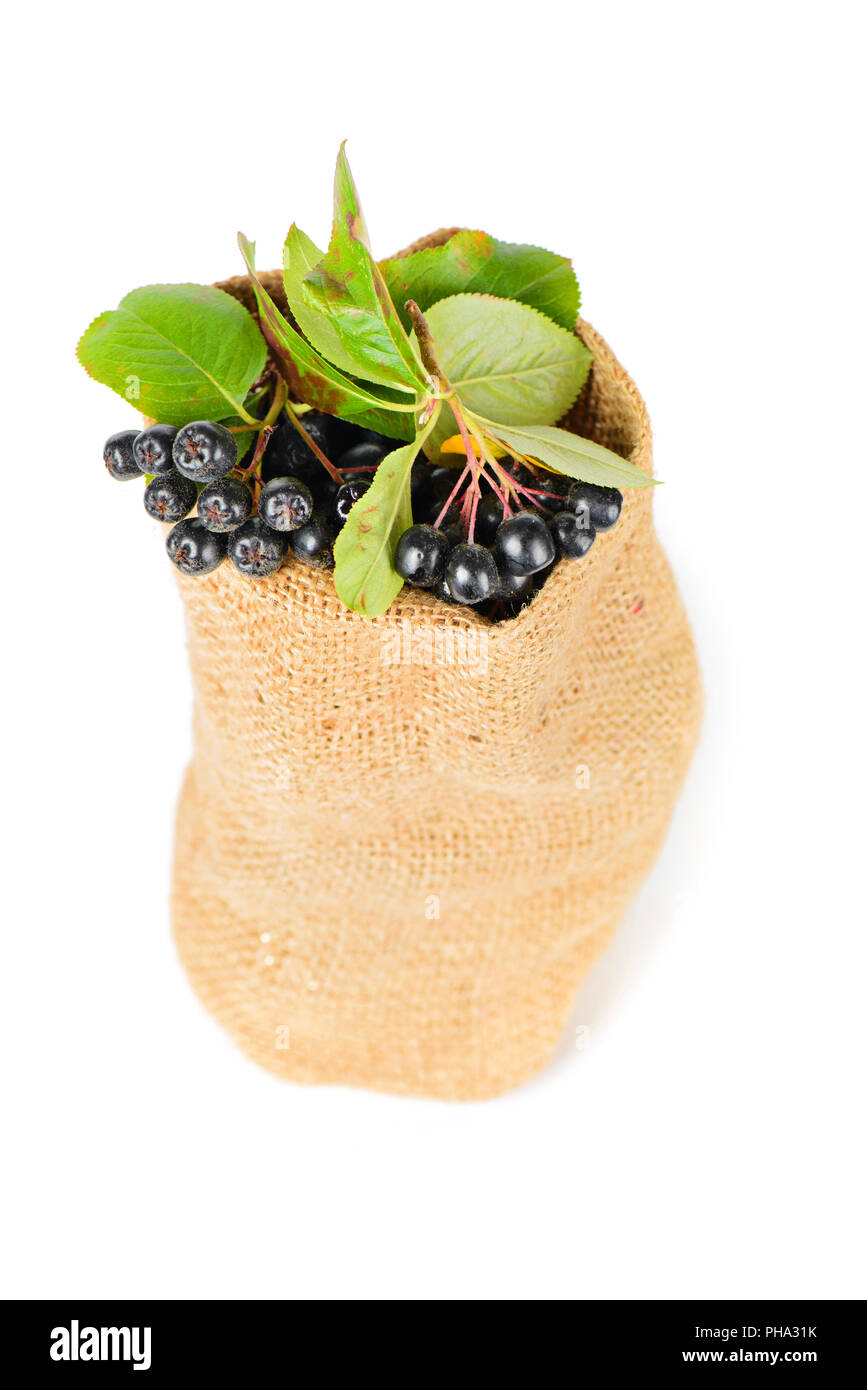 Aronia berry in the bag Stock Photo