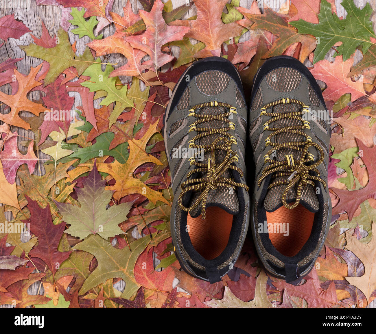 New hiking boots on autumn leaves and wood Stock Photo