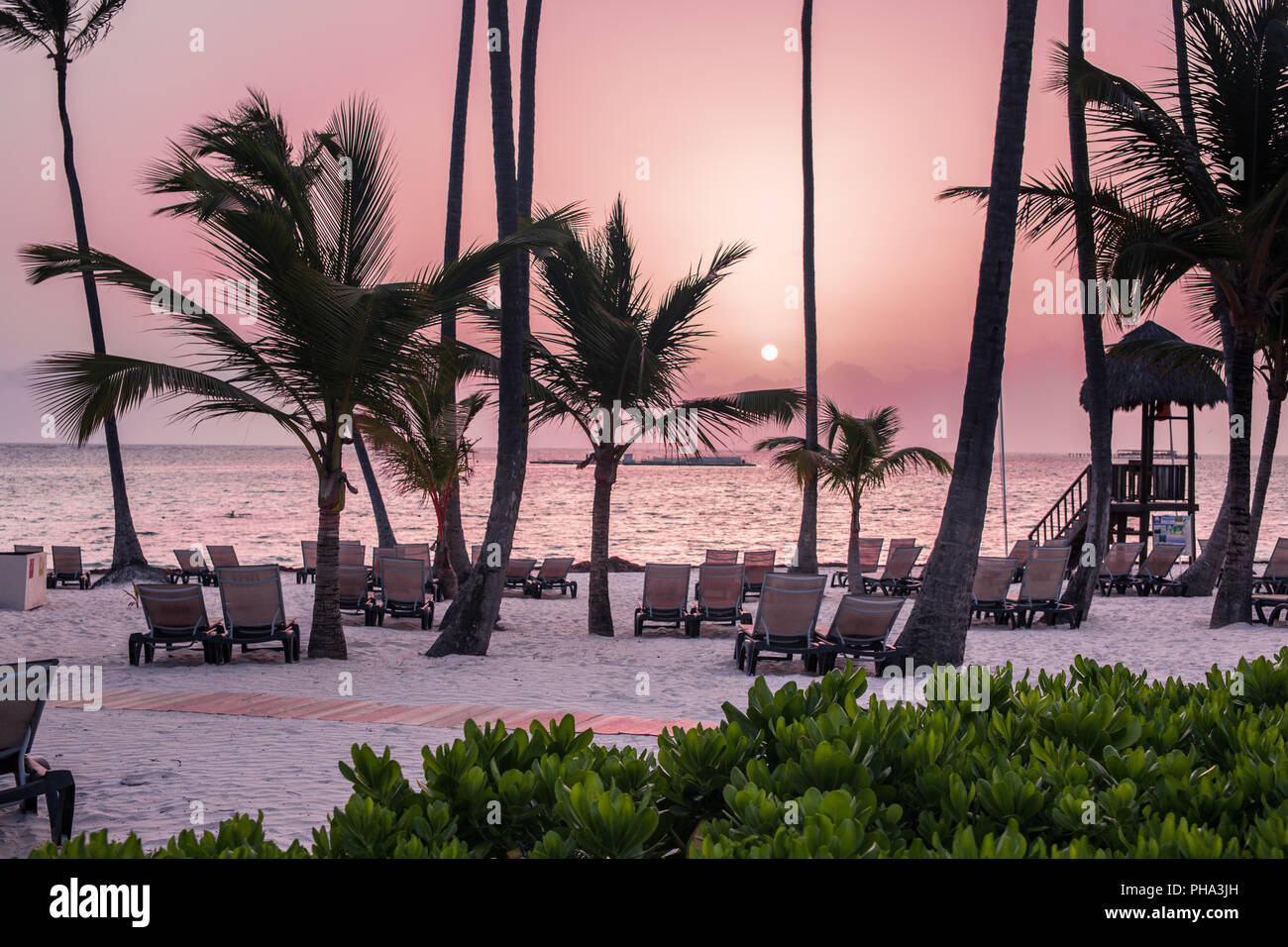 Beach with palm trees at sunrise Stock Photo - Alamy
