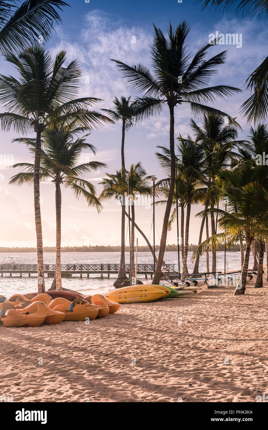Beach with palm trees at sunrise Stock Photo Alamy