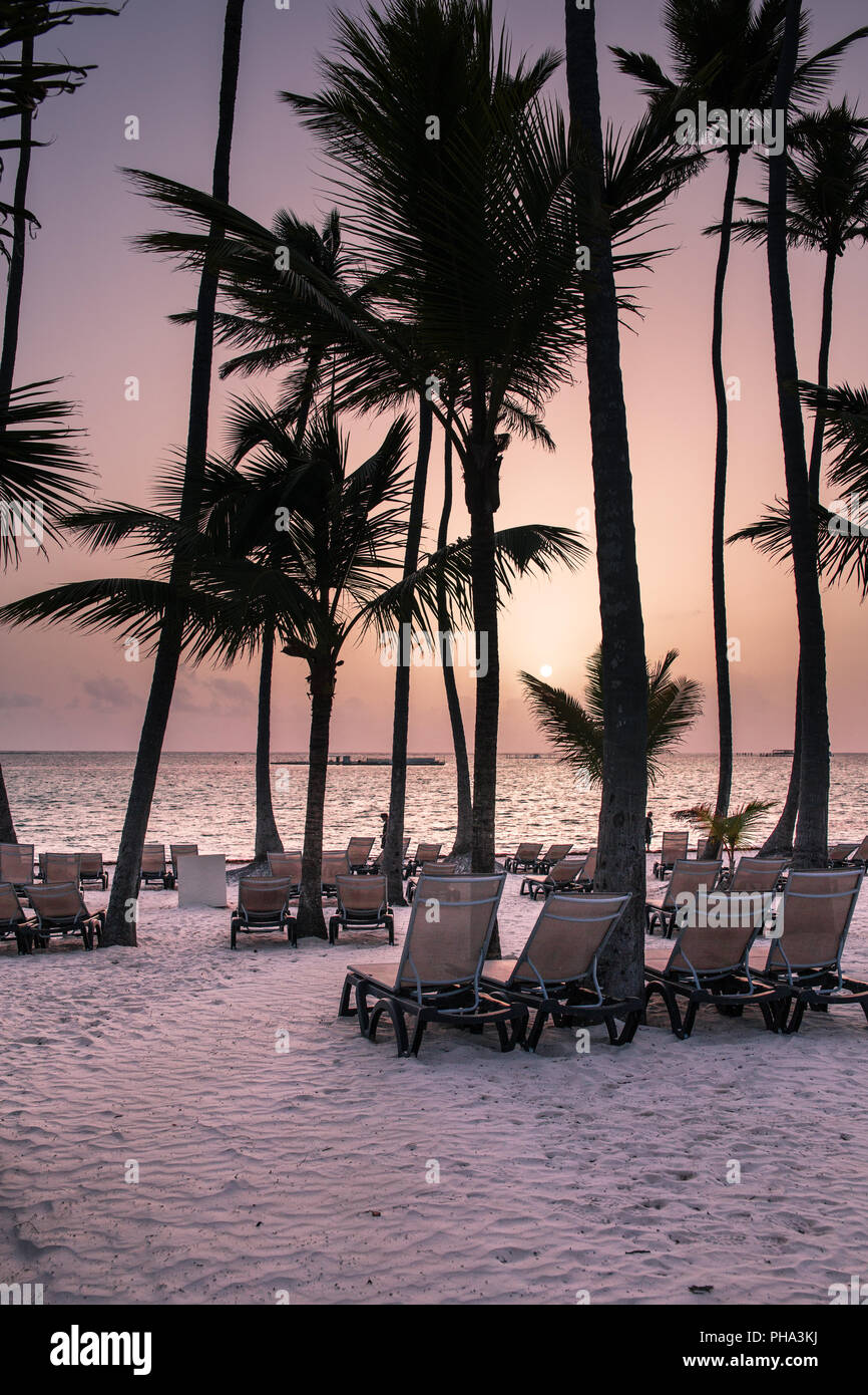 Beach with palm trees at sunrise Stock Photo - Alamy