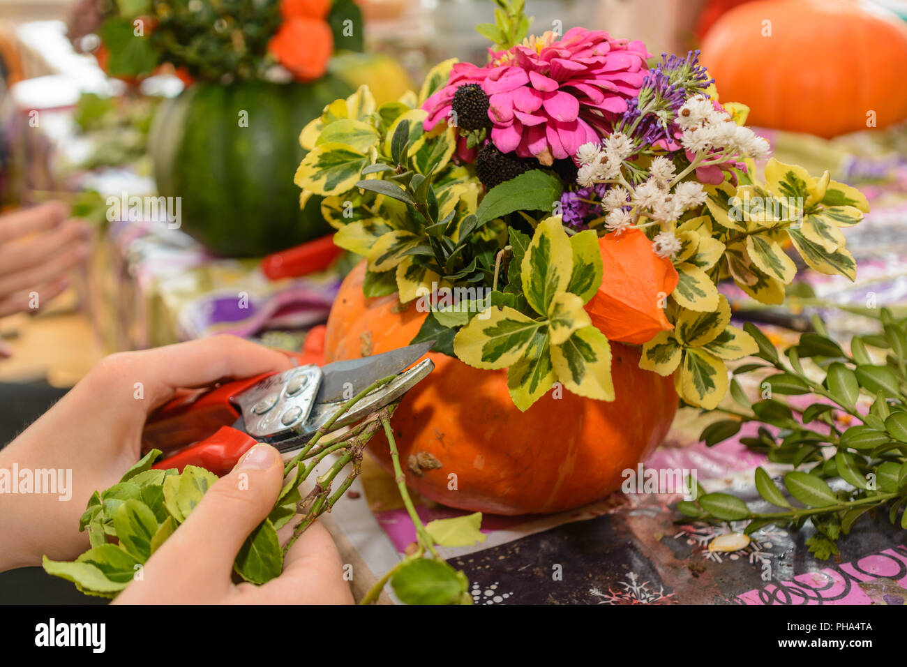 Florist designing colorful autumnal flower arrangement Stock Photo
