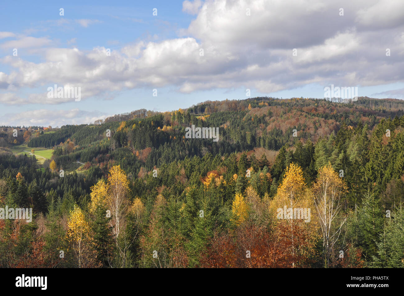 Swabian-Franconian Forest nearby Grosserlach, Germany Stock Photo