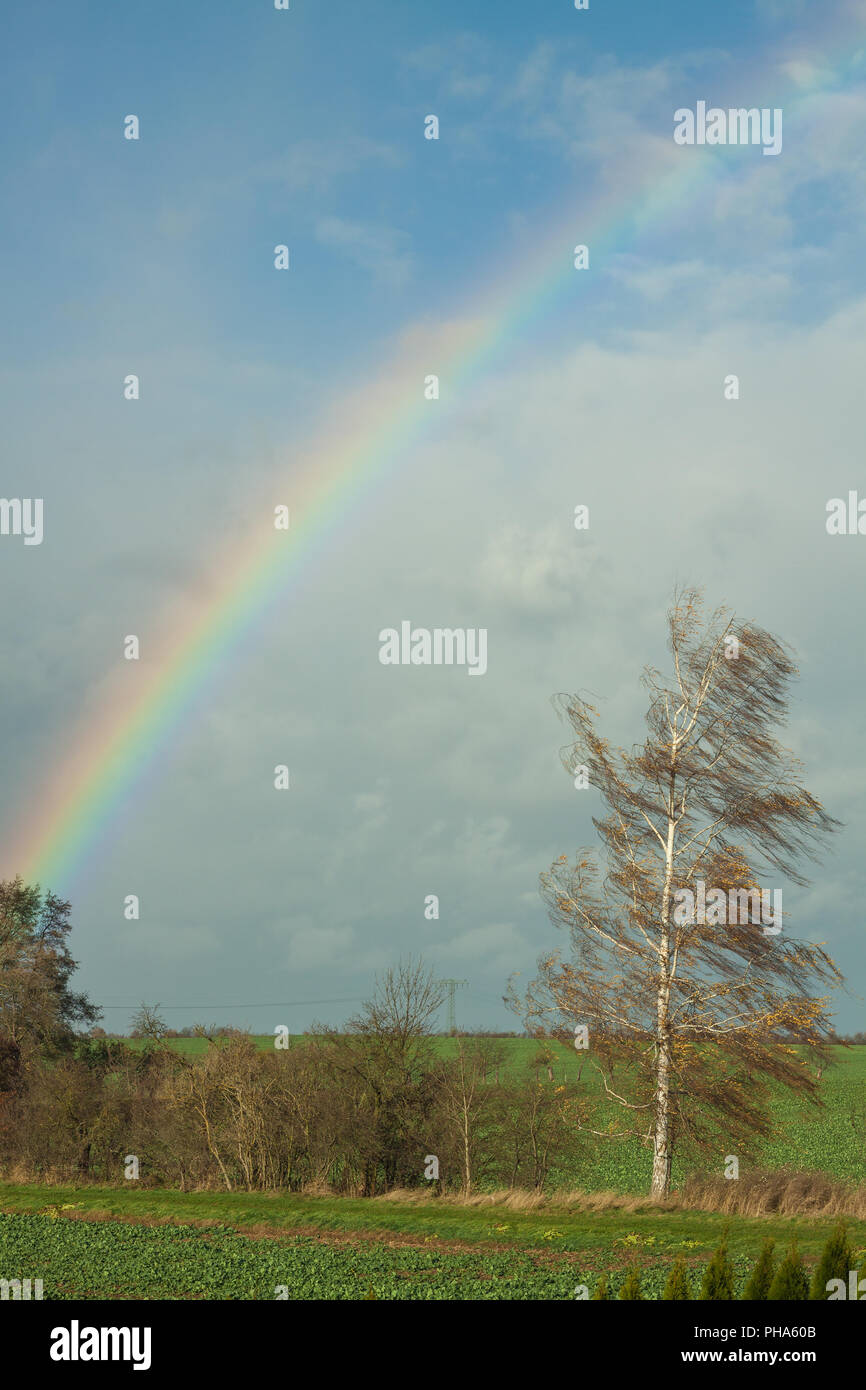 Rainbow in autumn Stock Photo