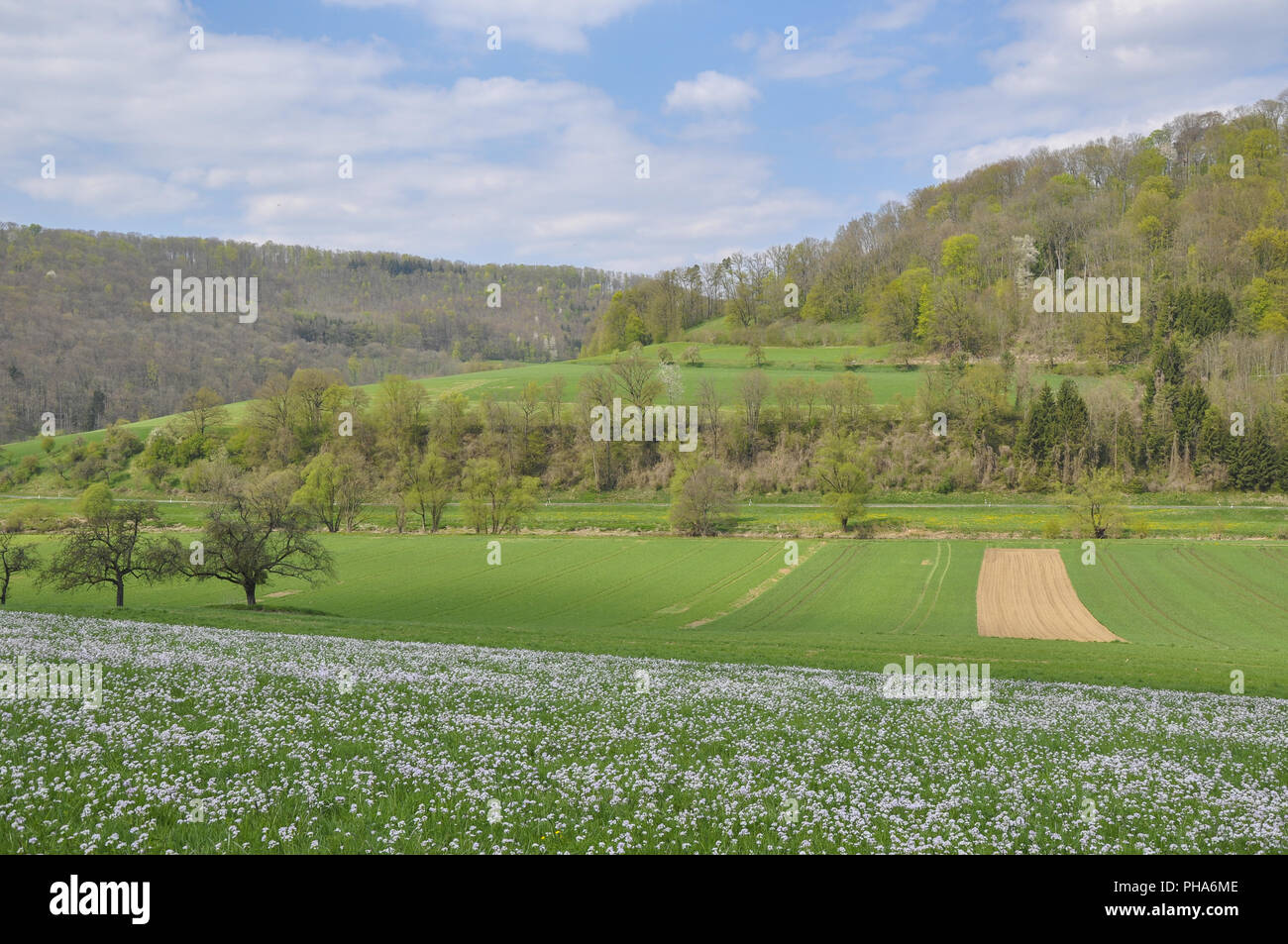 Spring time in the Jagst valley nearby Baechlingen, Germany Stock Photo