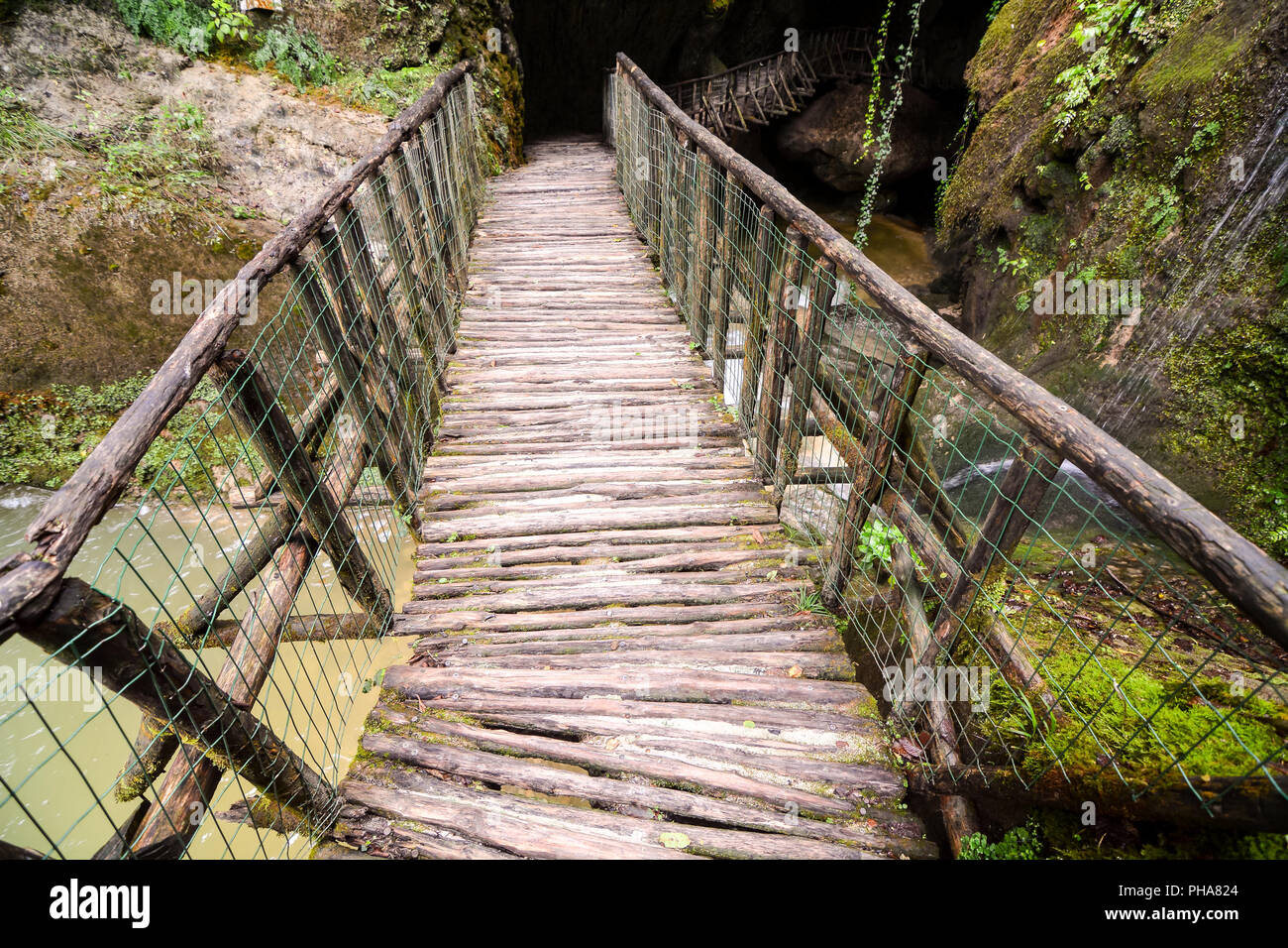 Pathway Wooden Footbridge Stock Photo