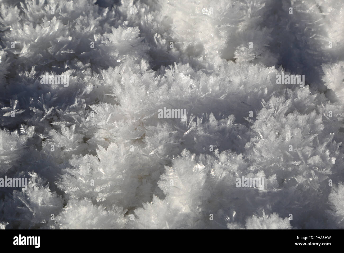 Snow and ice crystals Stock Photo