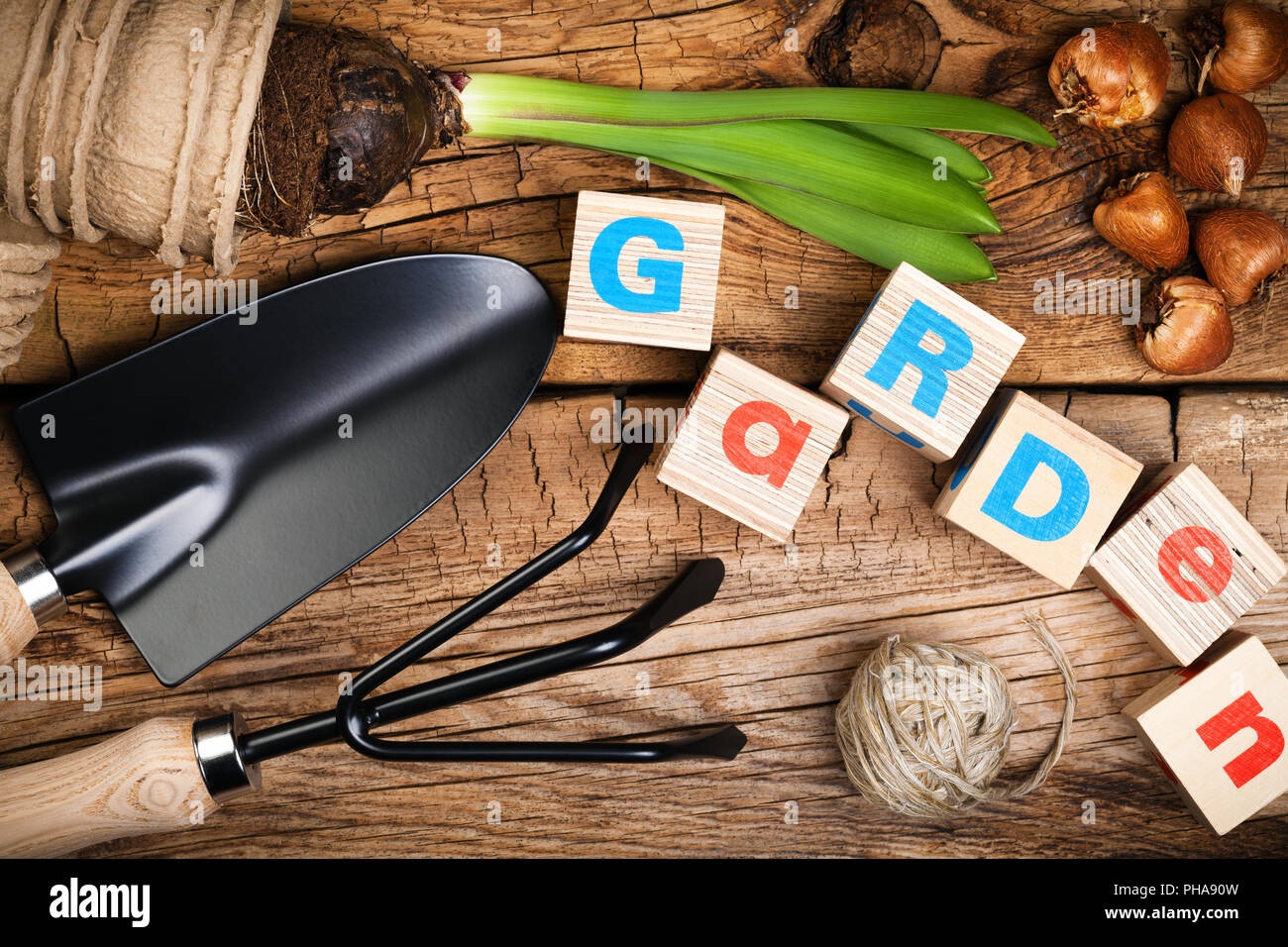 Gardening Tools with Flower and Bulbs on Wood Background Stock Photo