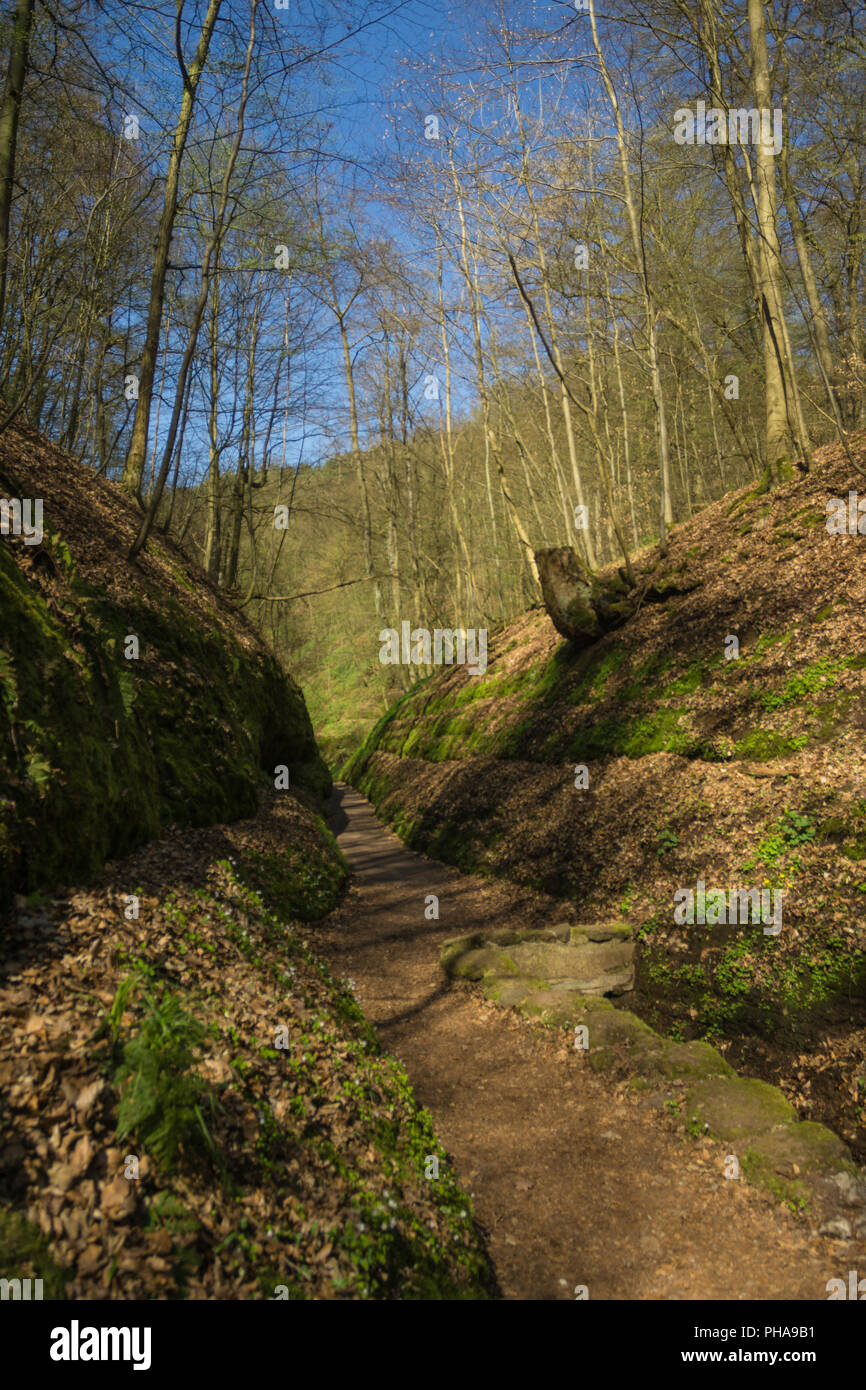 Dragon's gorge near Eisenach Stock Photo - Alamy