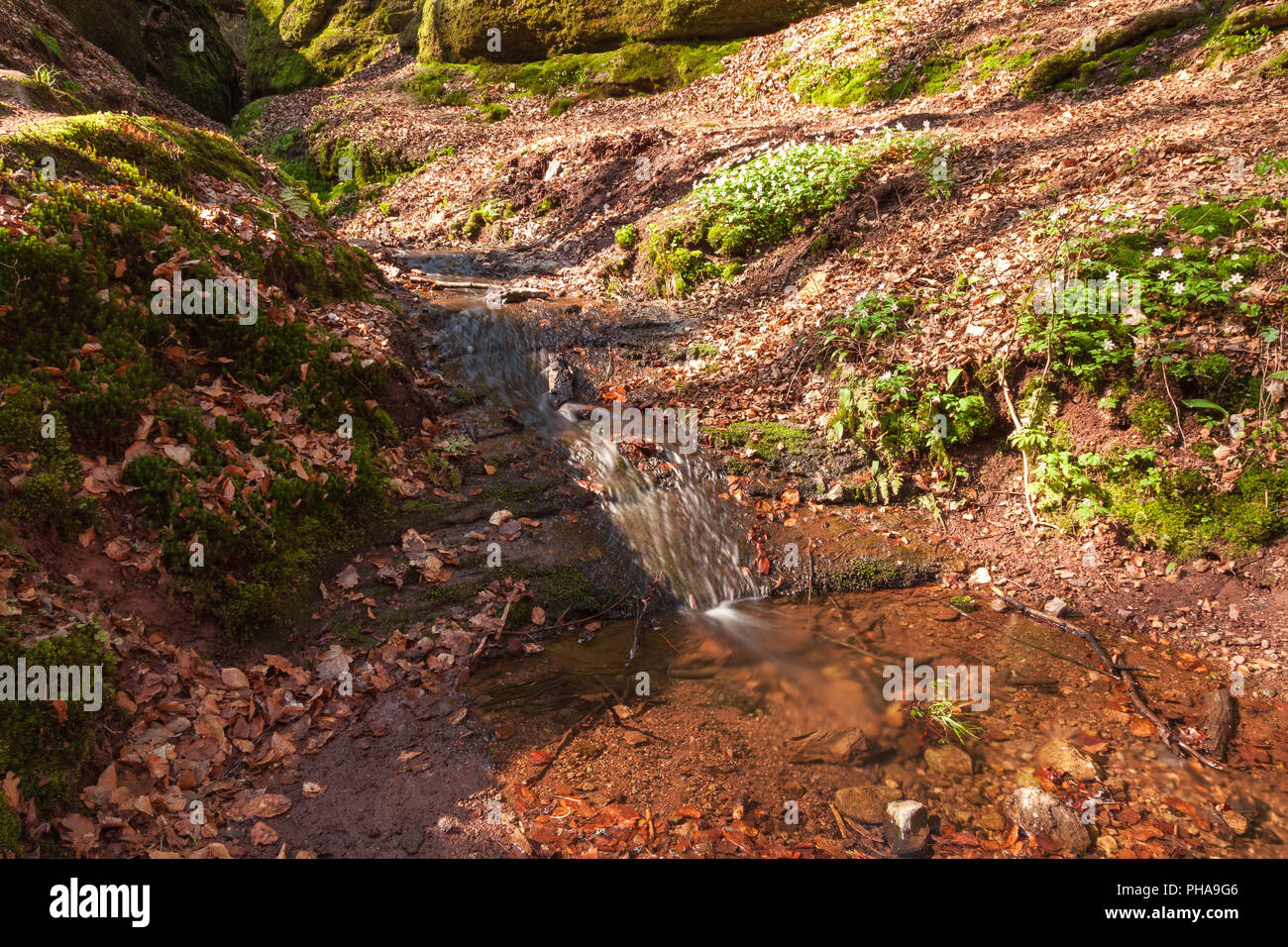 Dragon's gorge near Eisenach Stock Photo - Alamy