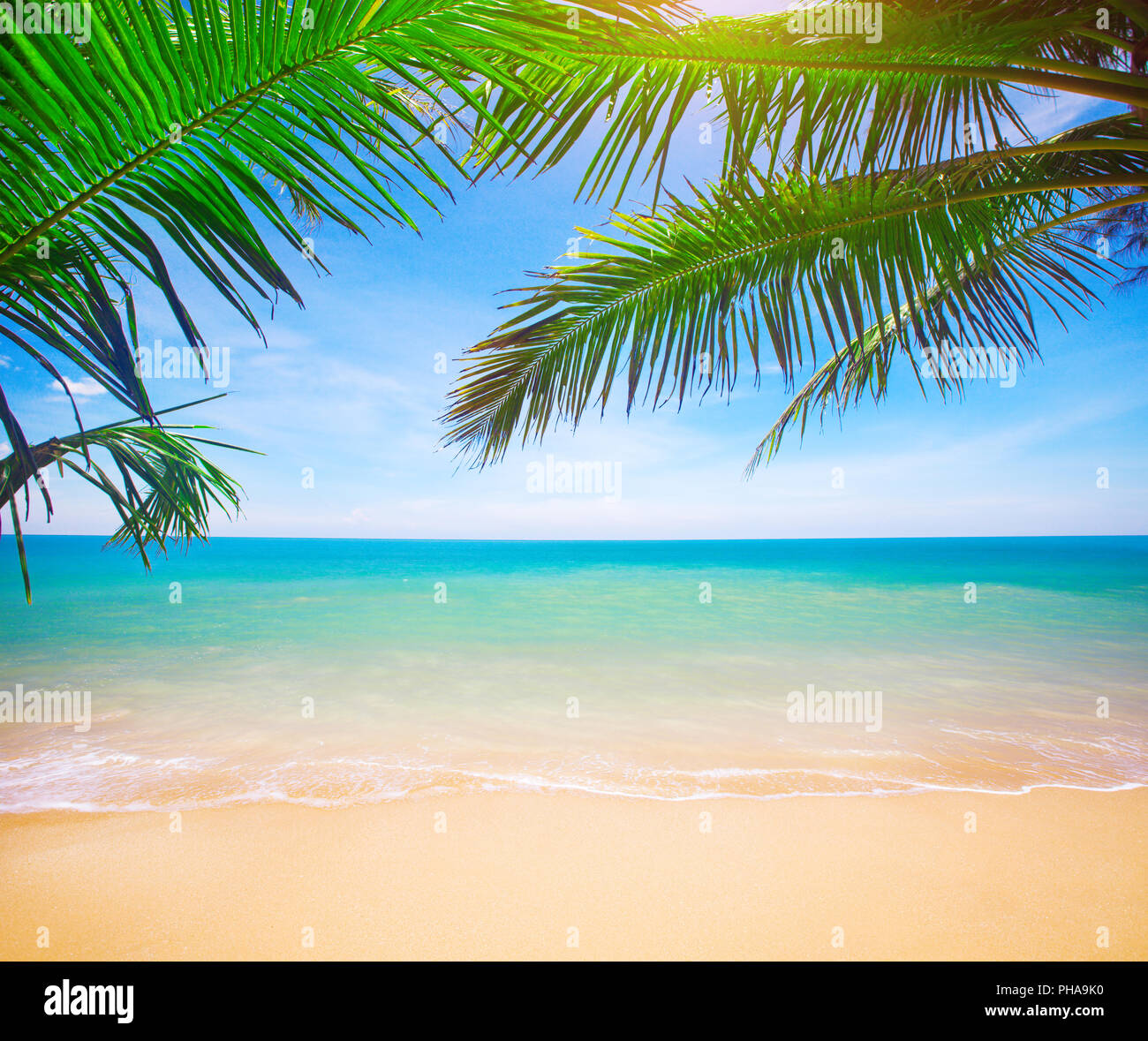Palm and tropical beach Stock Photo - Alamy