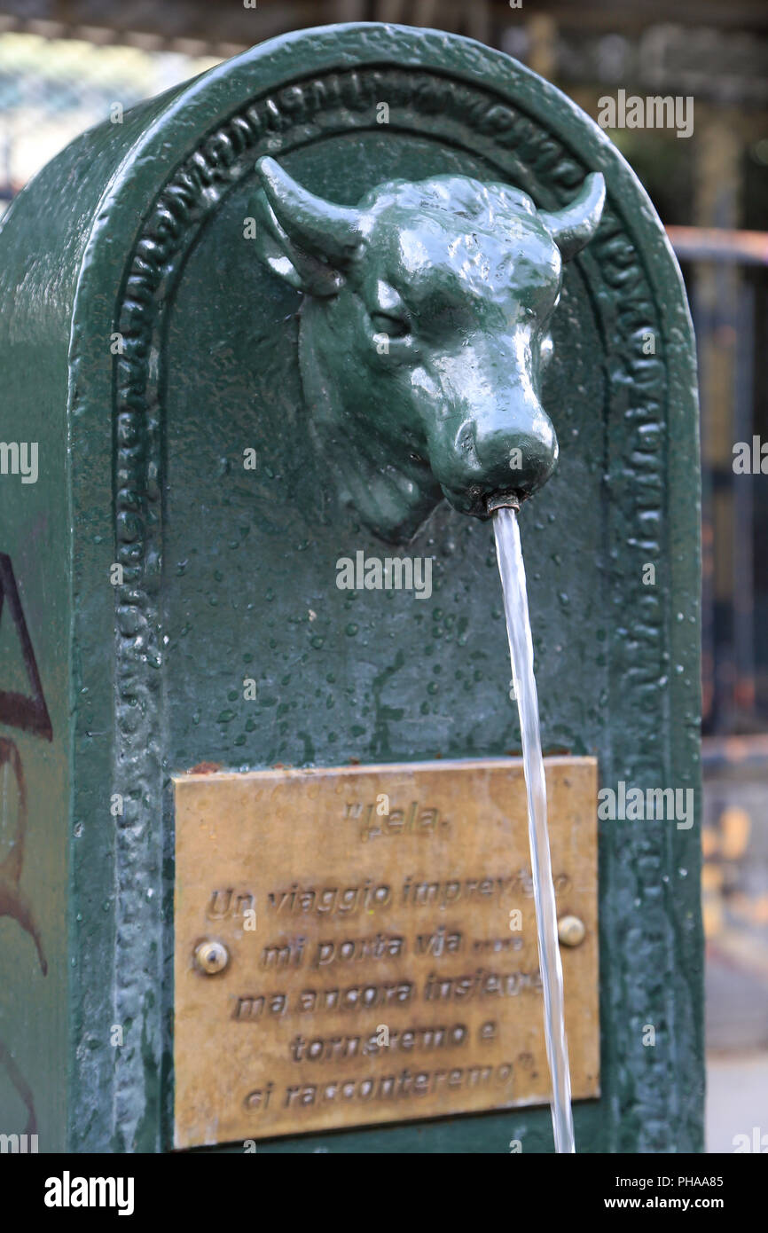 Little bull as drinking fountain in Turin Stock Photo