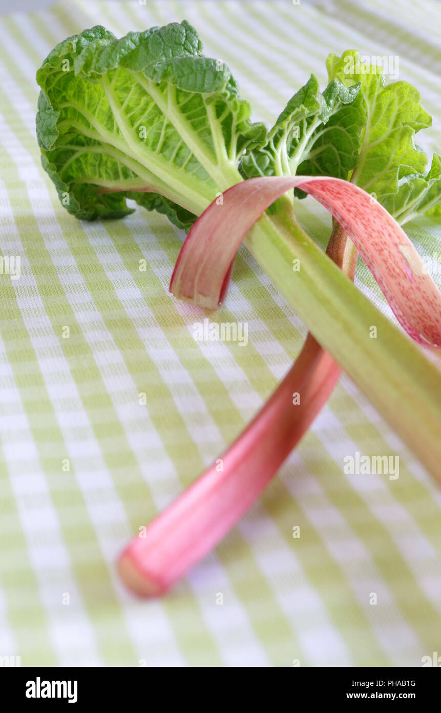 rhubarb stalk with leaf Stock Photo