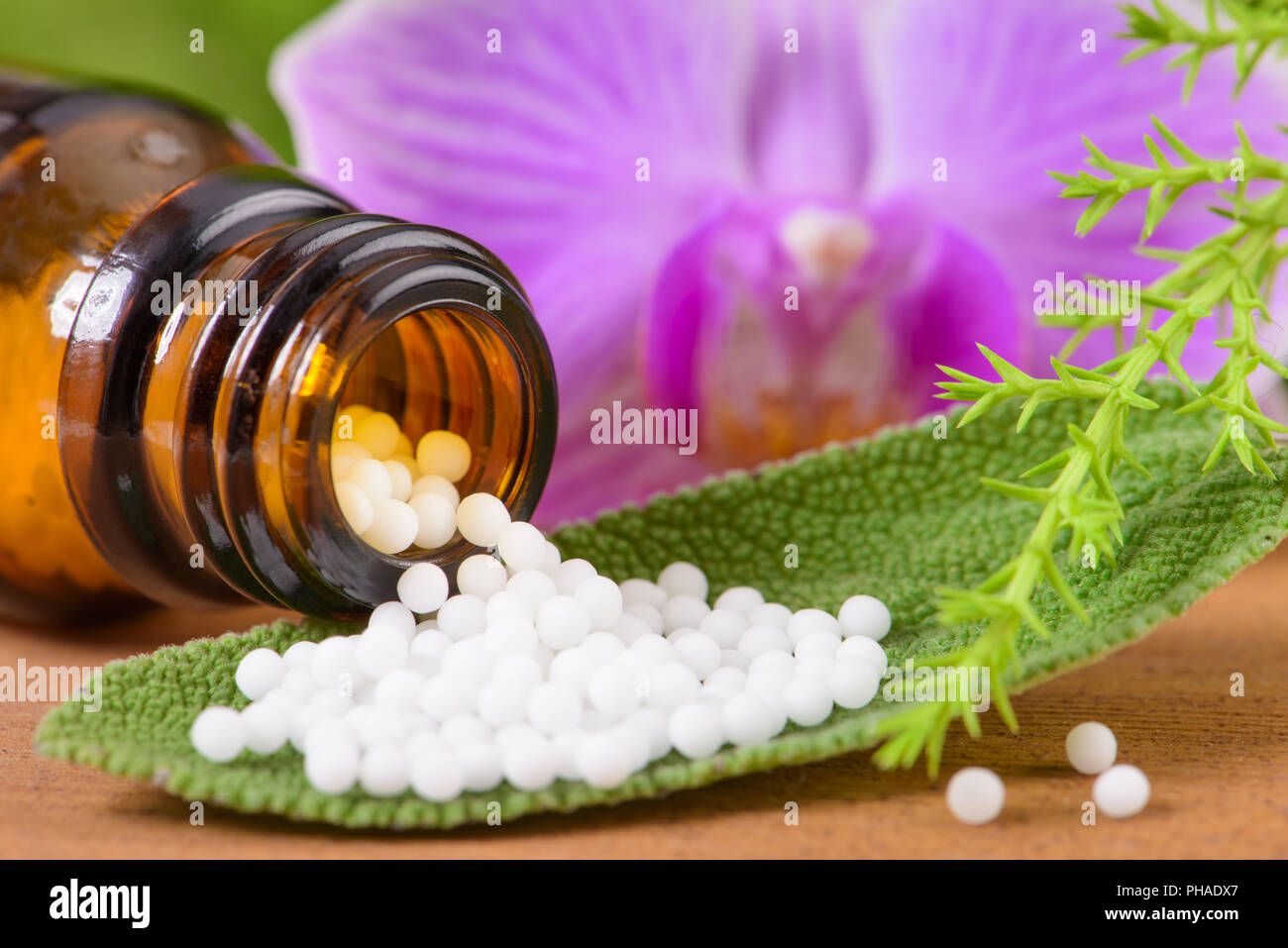 homeopathic globules as therapy for alternative medicine Stock Photo