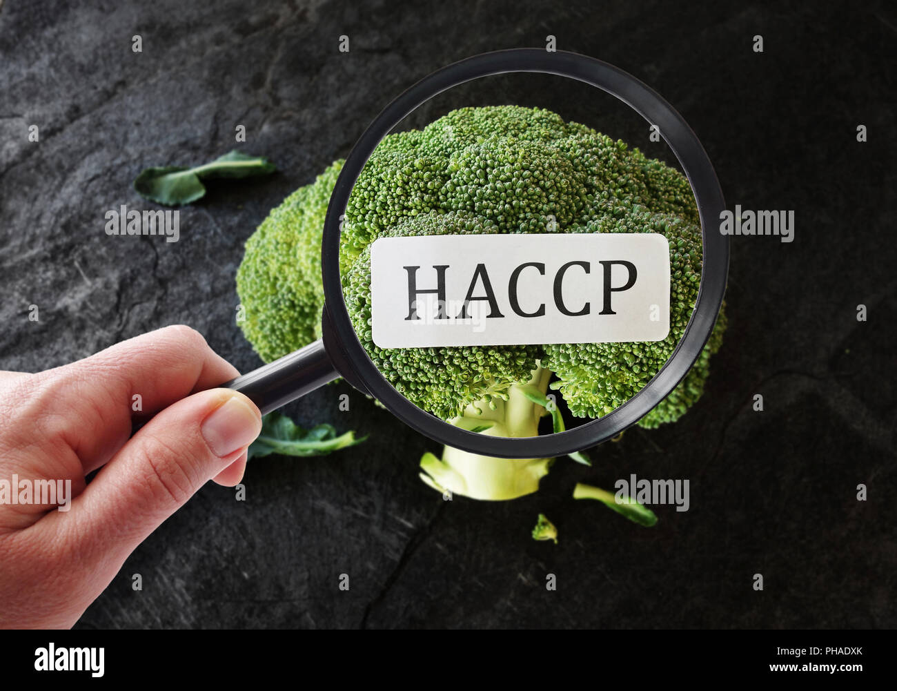 Haccp hires stock photography and images Alamy