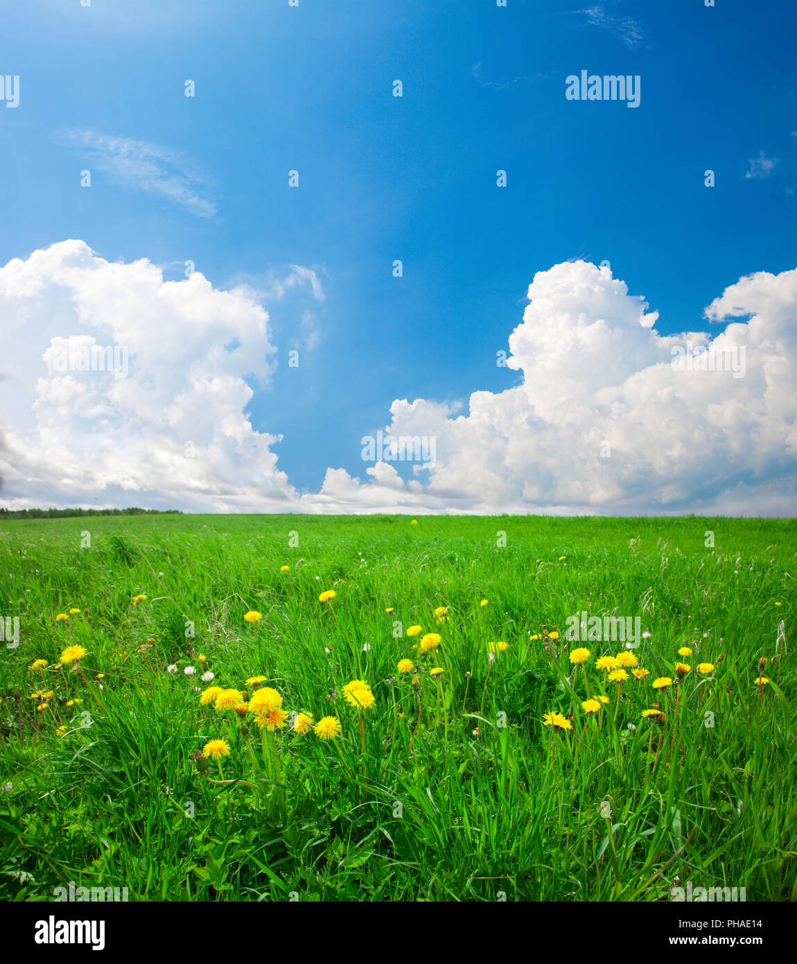 Green field under blue cloudy sky Stock Photo - Alamy