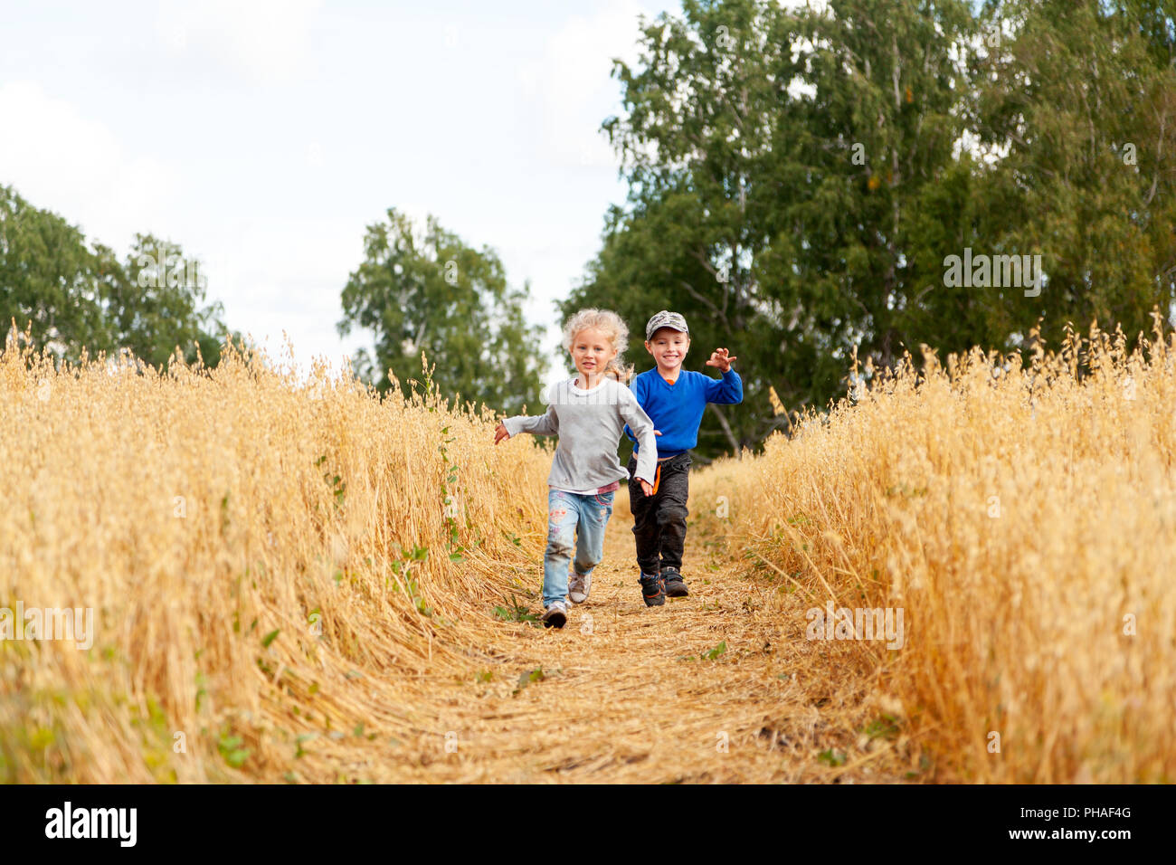 Little boy and girl on a wheat field in the sunlight running, playing ...