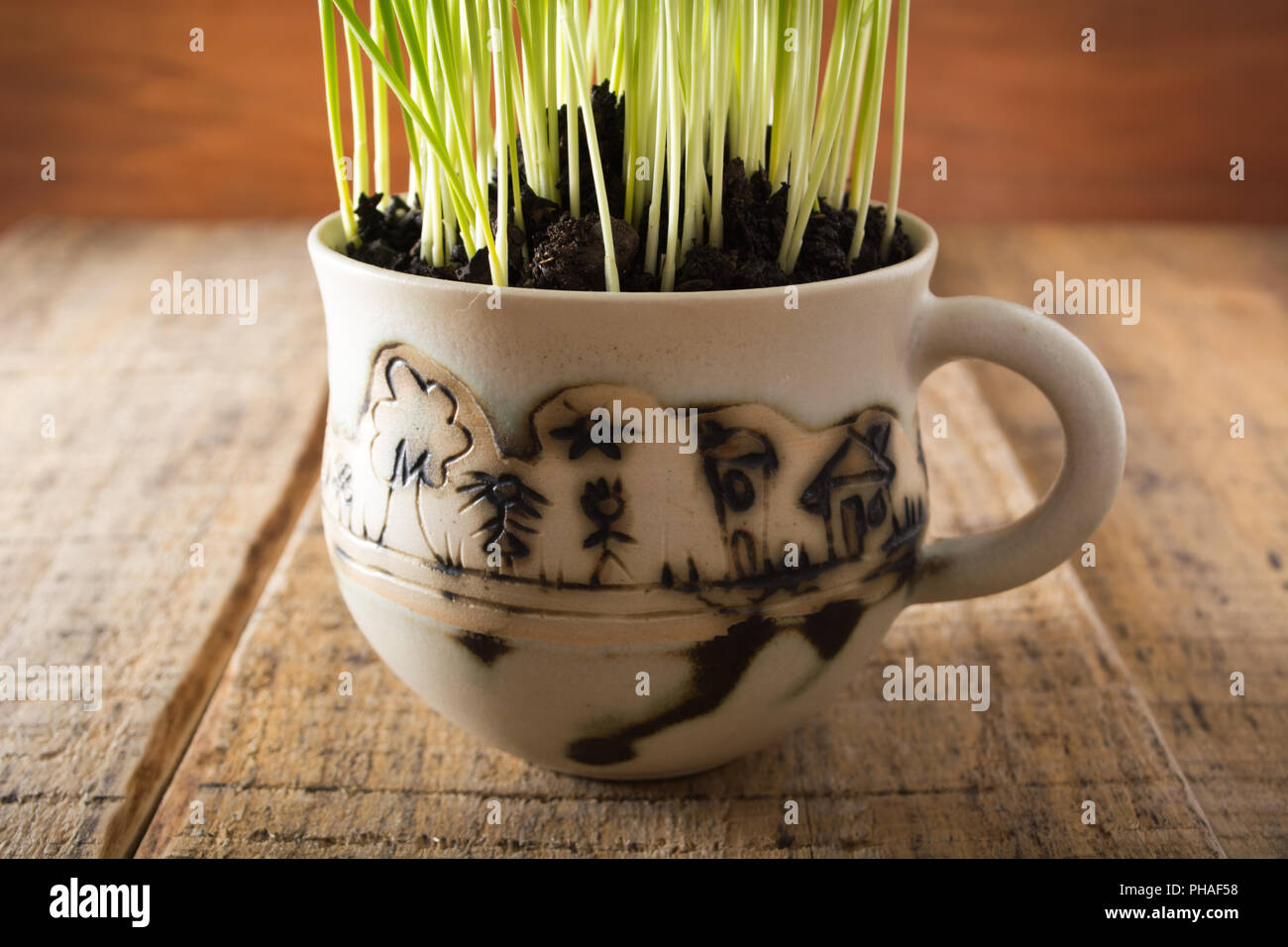 Green wheat in the ceramic cup Stock Photo