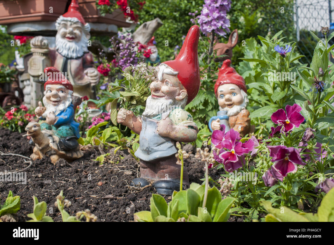 Garden gnomes in Schwaebisch Hall, Germany Stock Photo