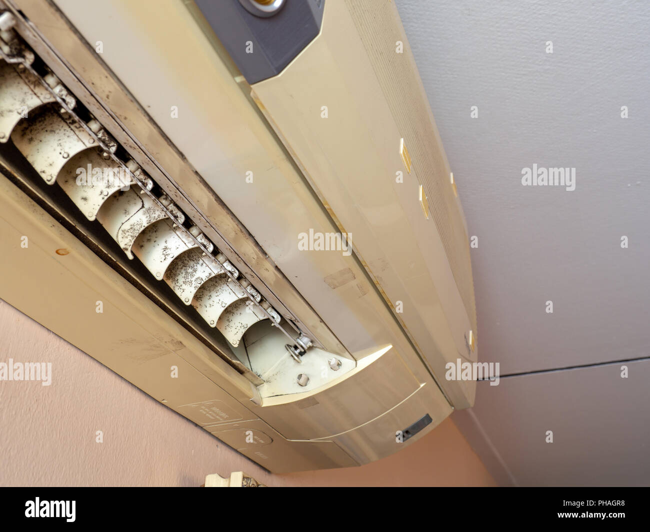 close up mold in air conditioner system. Danger and the cause of