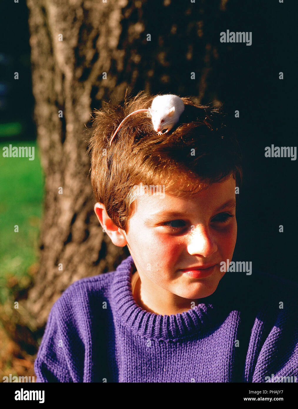 Enfant et souris blanche - Child and white mouse Stock Photo