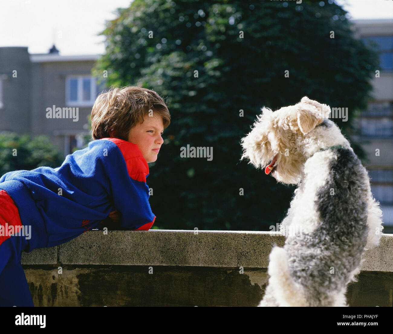 Kid fox hi-res stock photography and images - Alamy