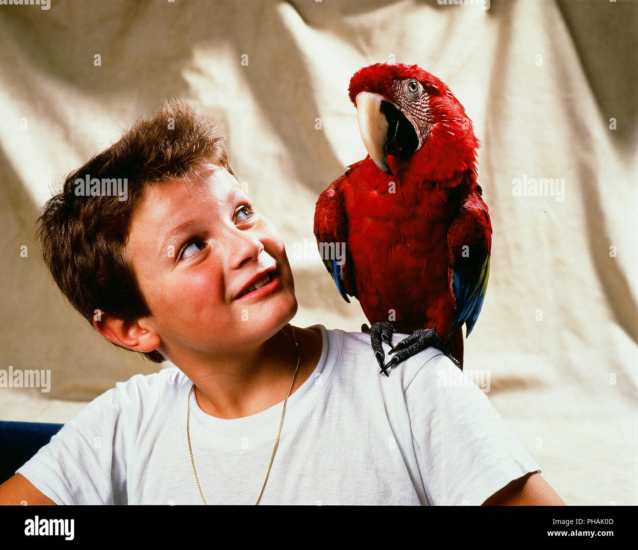 Enfant et perroquet - Child and parrot Stock Photo