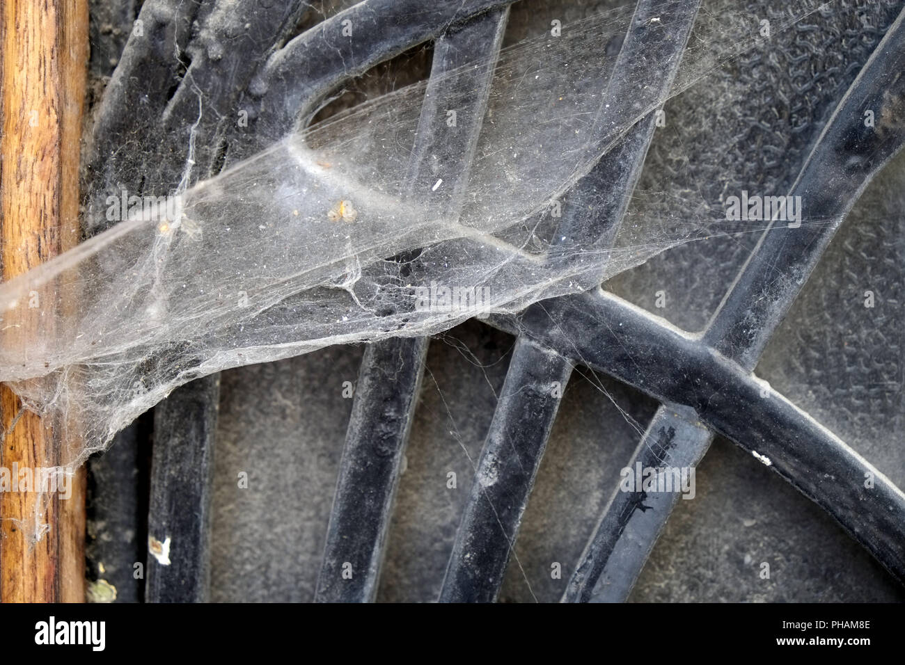 Spider webs cover cellar hatch Stock Photo