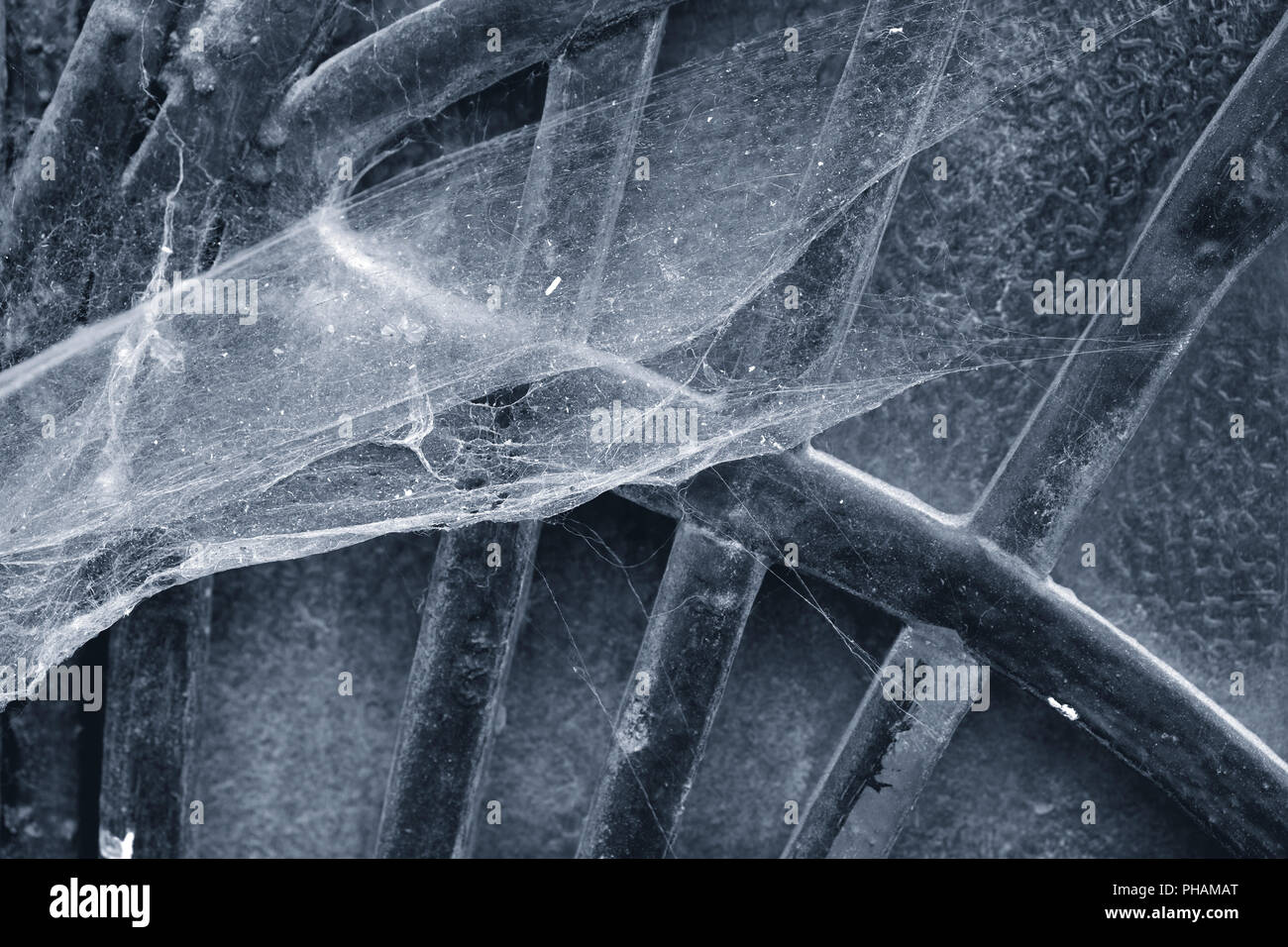 Spider webs Stock Photo