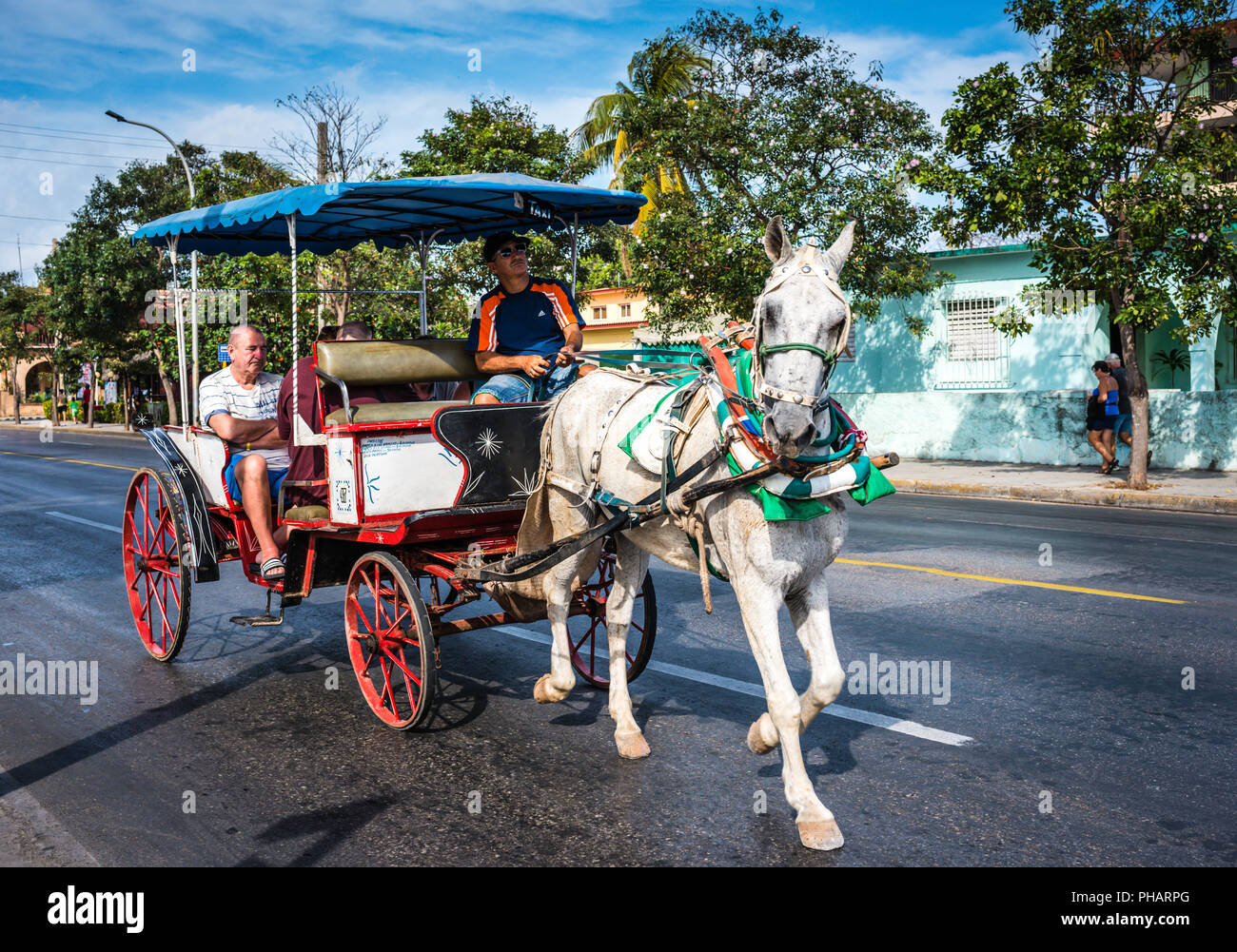 Carriage rides on horse and buggies called Hicacos are a fun way to get around the Cuban beach resort town of Varadero. Stock Photo