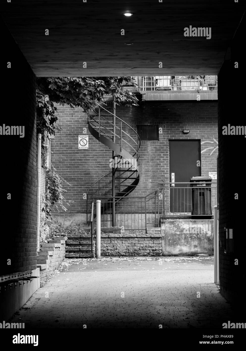 alley, montreal, street in the plateau mont-royal, quebec, canada, city, big city, backstreet stairway, stairs, doors, spiral stair case Stock Photo