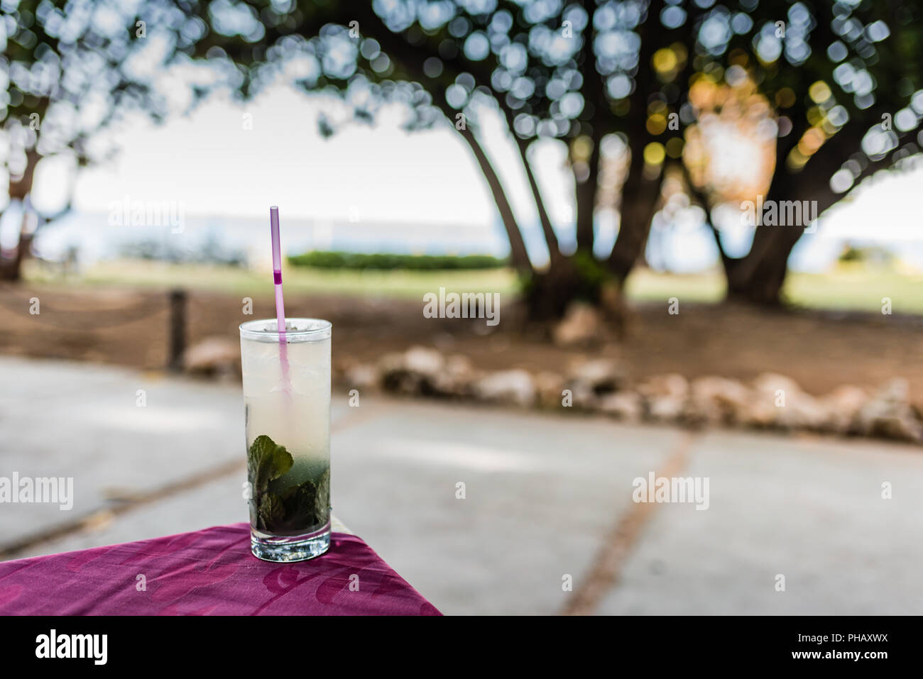 Authentic Mojito served with a sunset ocean view in Havana, Cuba Stock ...