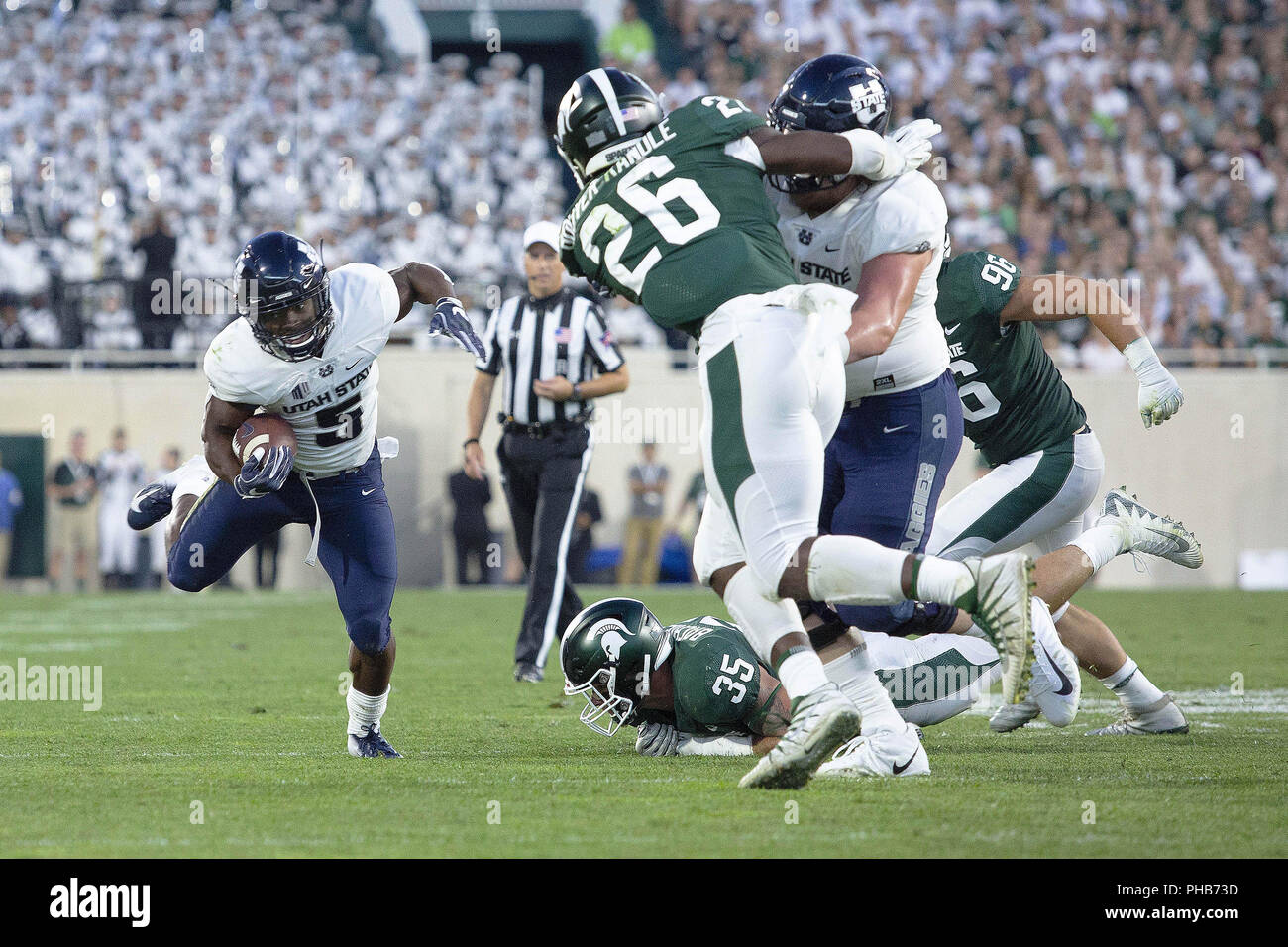 Darwin thompson hires stock photography and images Alamy