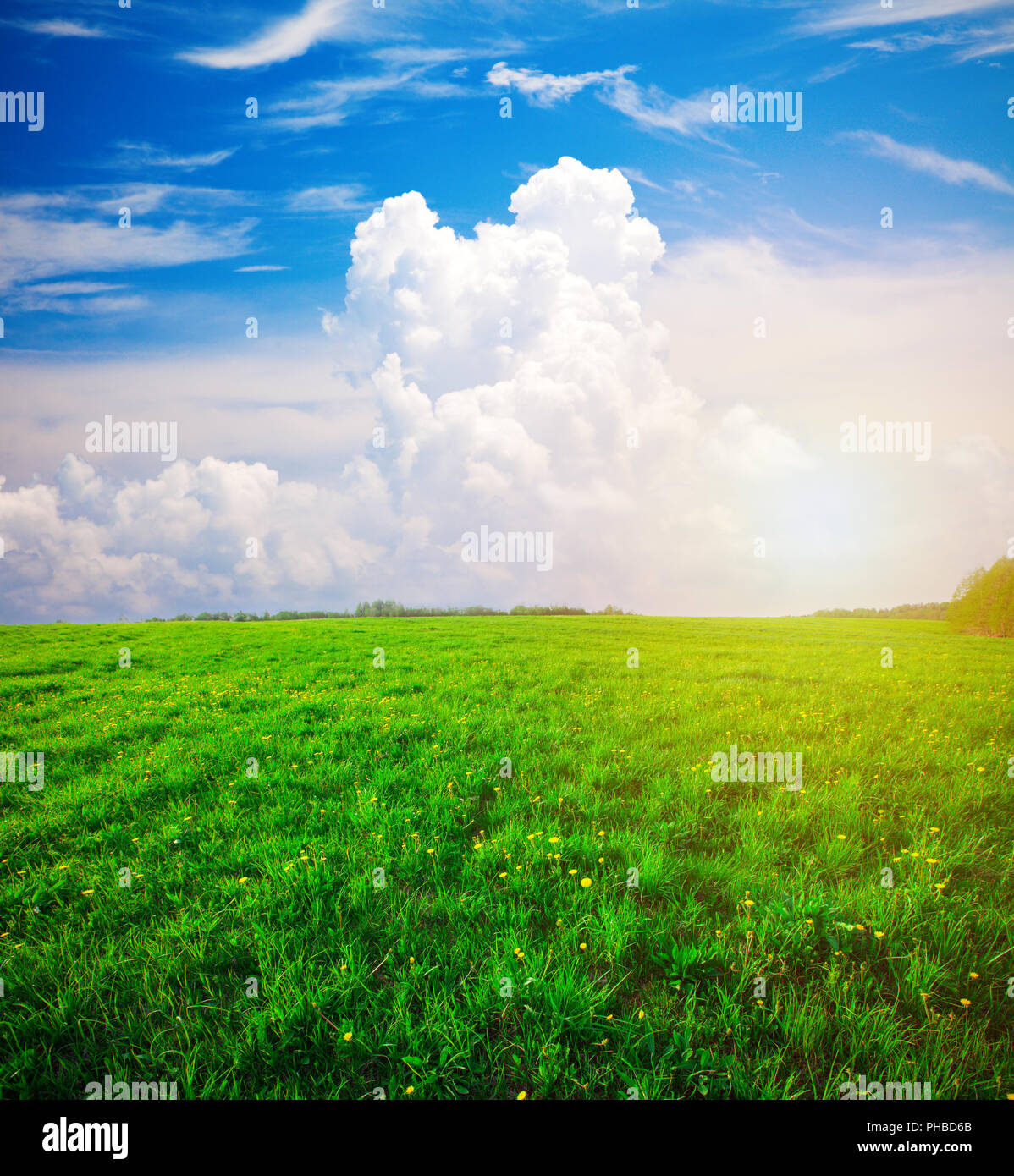 Green field under blue cloudy sky Stock Photo - Alamy