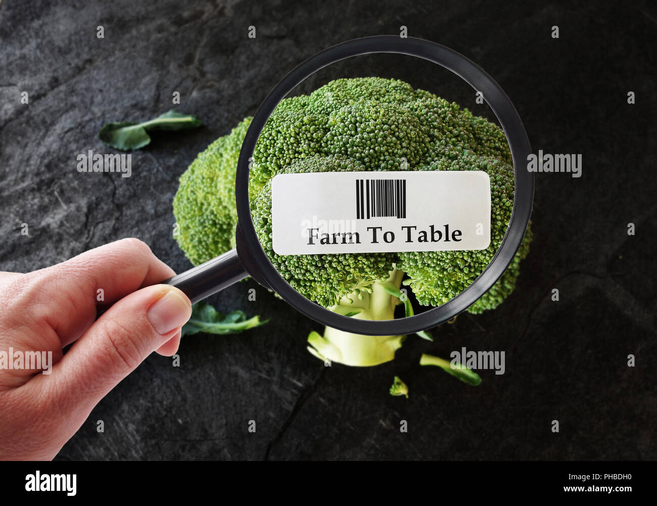 Farm to table concept Stock Photo