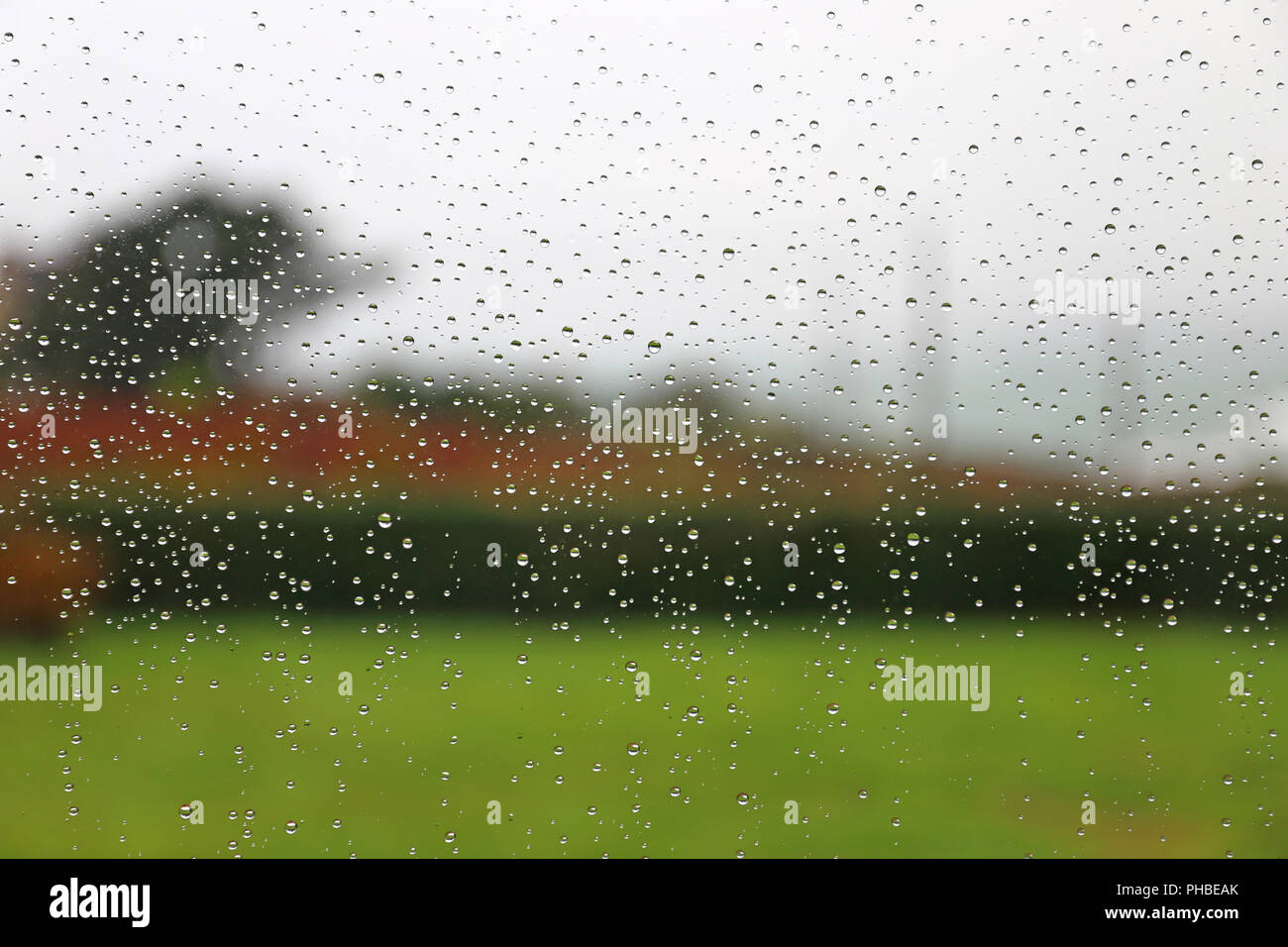 Raindrops on a window pane Stock Photo