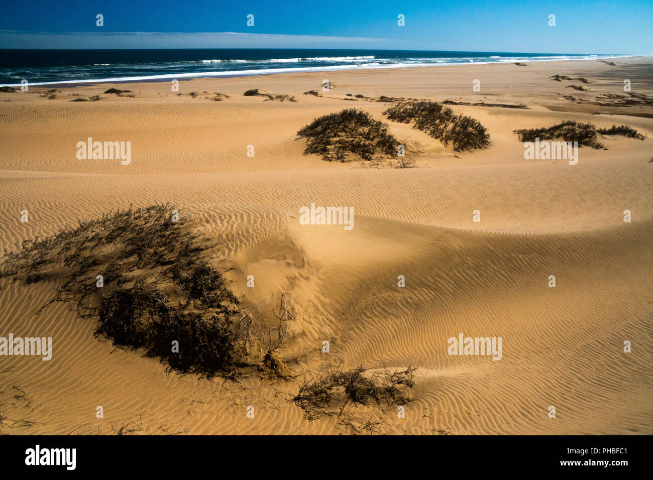 Sand dunes, blown by wind into pronounced furrows stretching into the distance by the sea and surf, near Sandwich Bay, Namibia, Africa Stock Photo