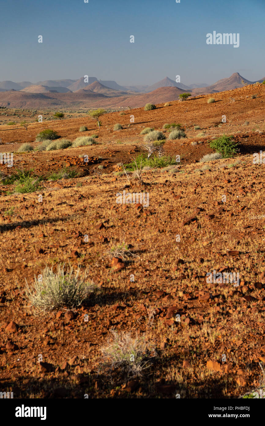 Typical red gravelly terrain, Etendeka, Namibia, Africa Stock Photo