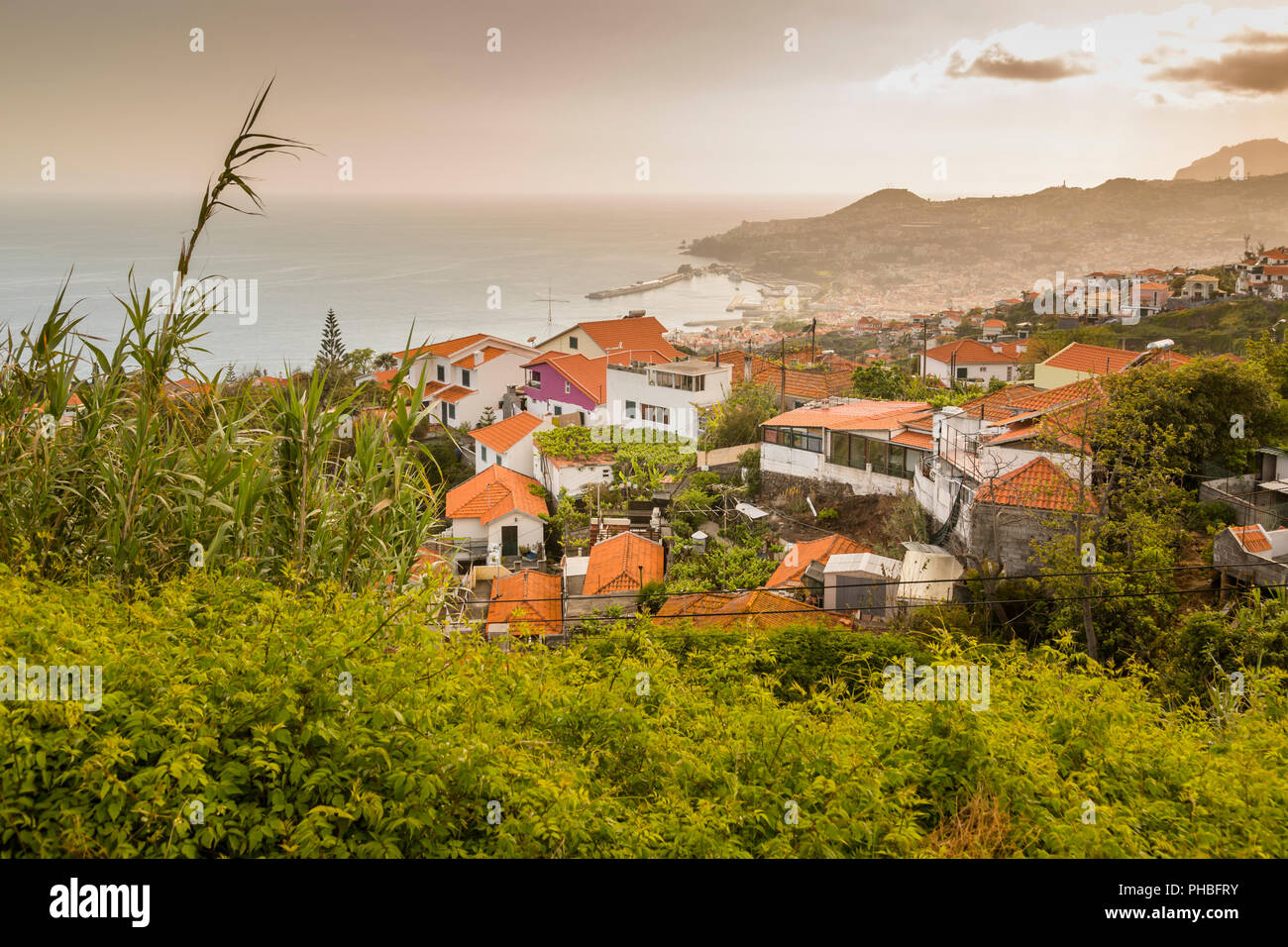 View over harbour and old town of Funchal viewed from elevated position, Funchal, Madeira, Portugal, Atlantic, Europe Stock Photo