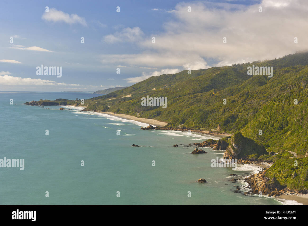 Jungle Coast, New Zealand Stock Photo - Alamy
