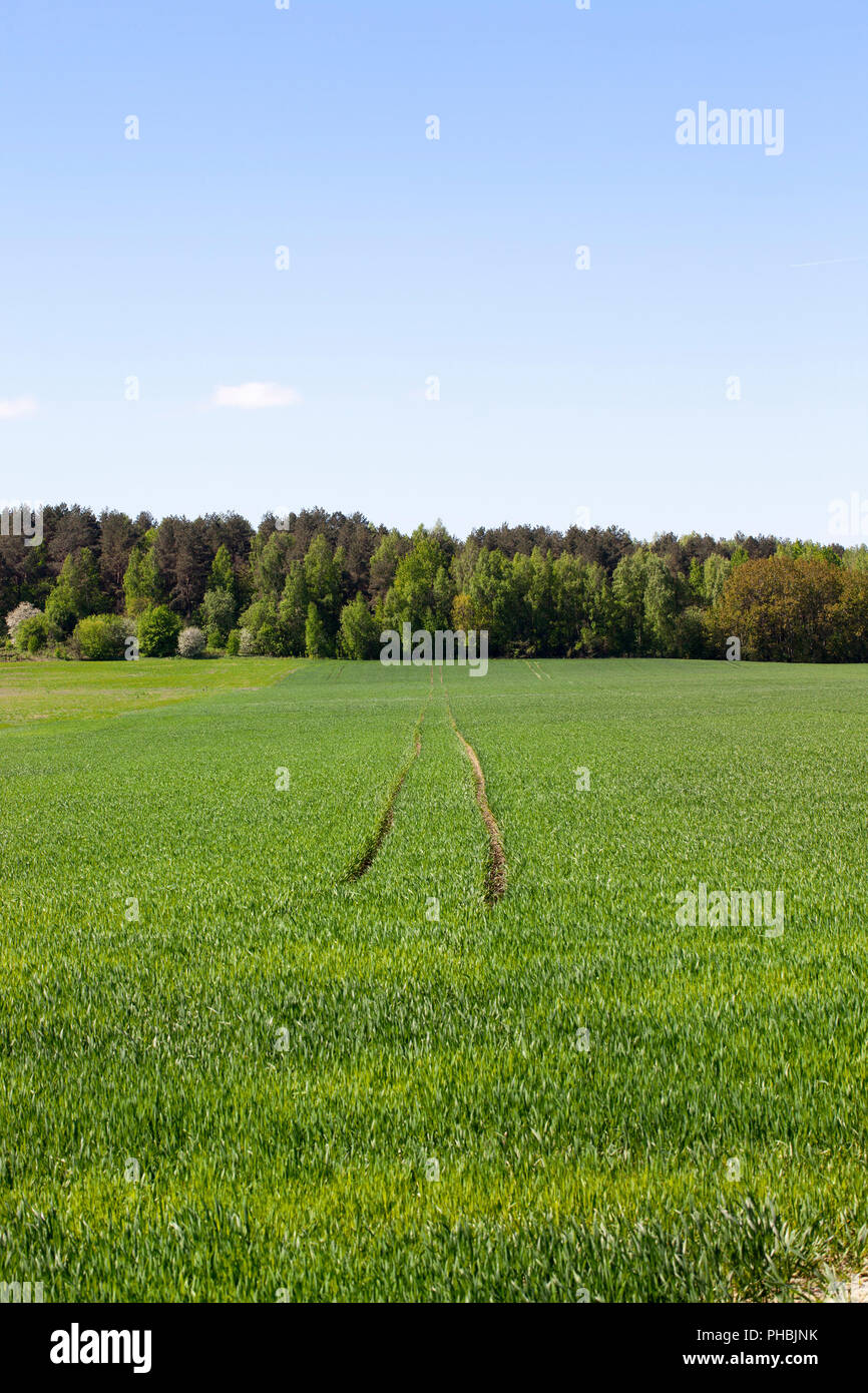 gauge for the movement of agricultural machinery across the field for processing wheat yields with chemicals and fertilizers Stock Photo