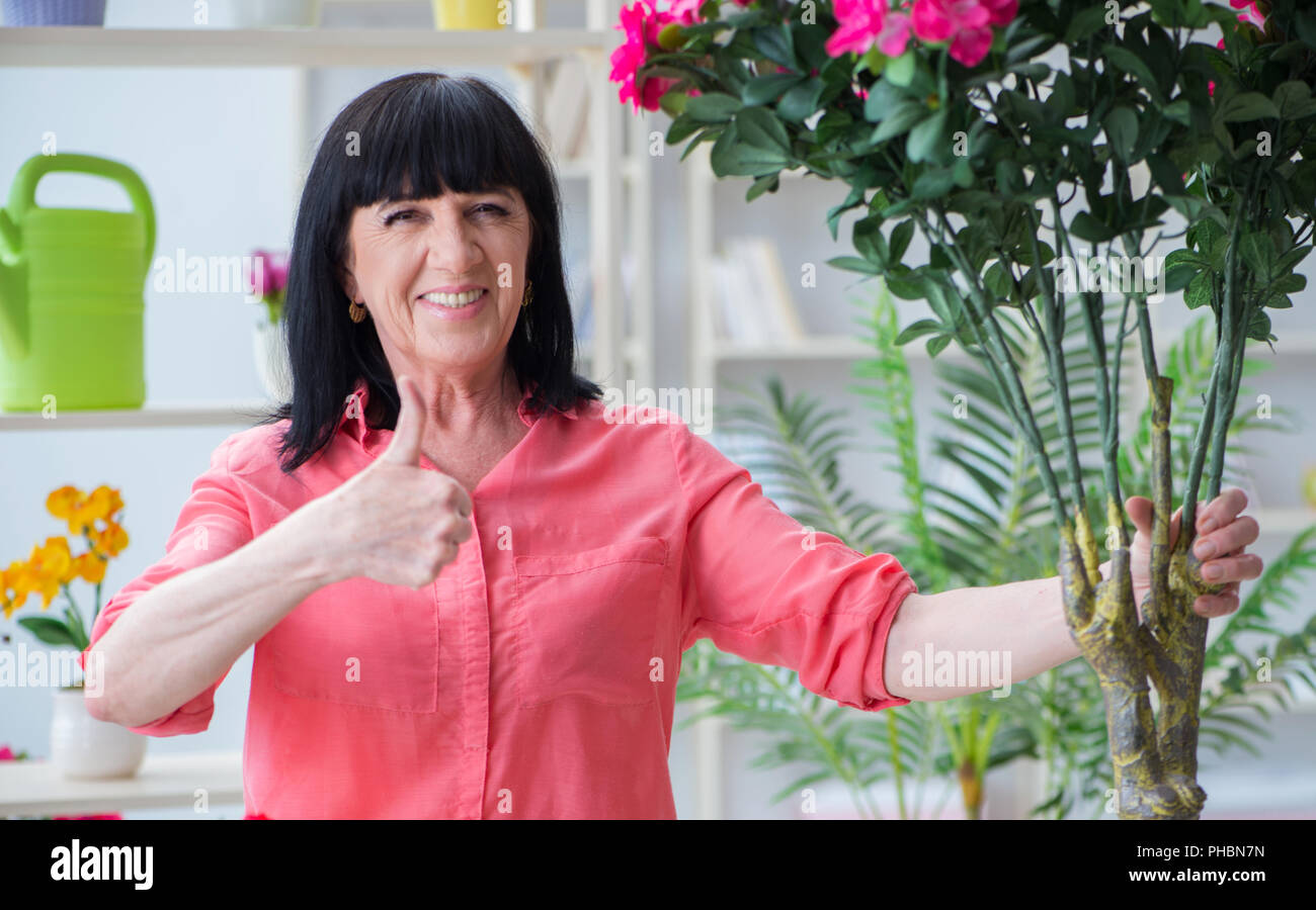 Woman florist working in the flower shop Stock Photo - Alamy