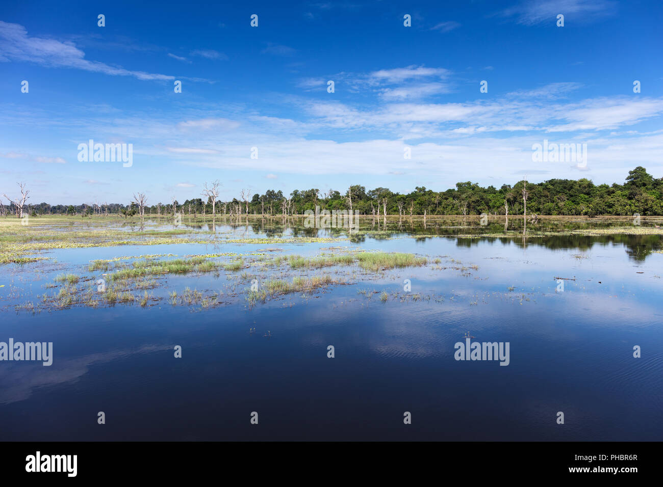 Reflected Environments Reflected environment hi-res stock photography and images - Alamy